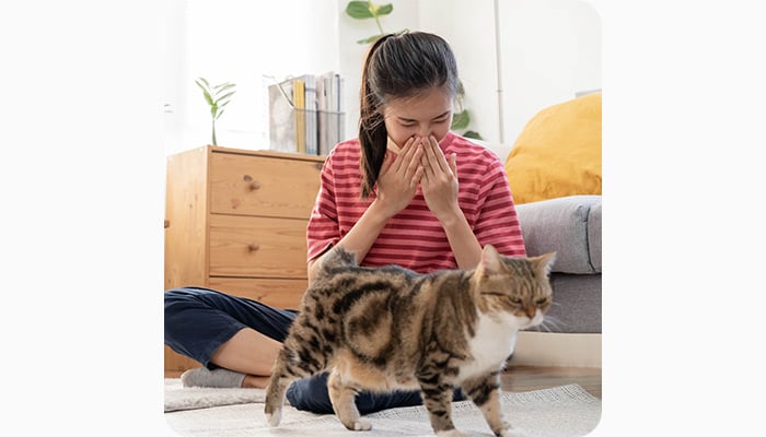 Hay fever statistics