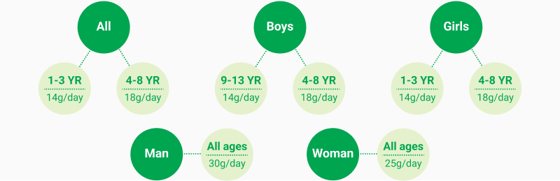 Fibre intake graph