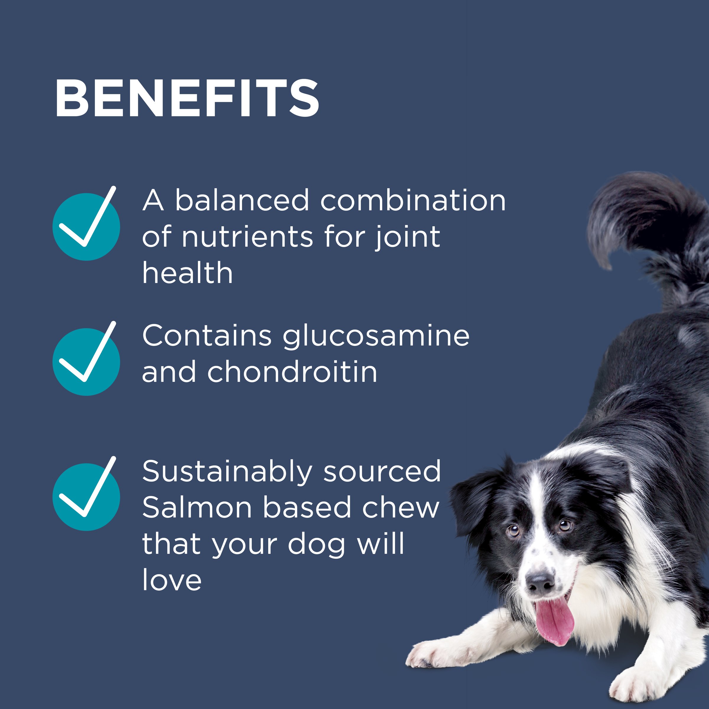 PAW Osteocare Chews 300g - Image 6