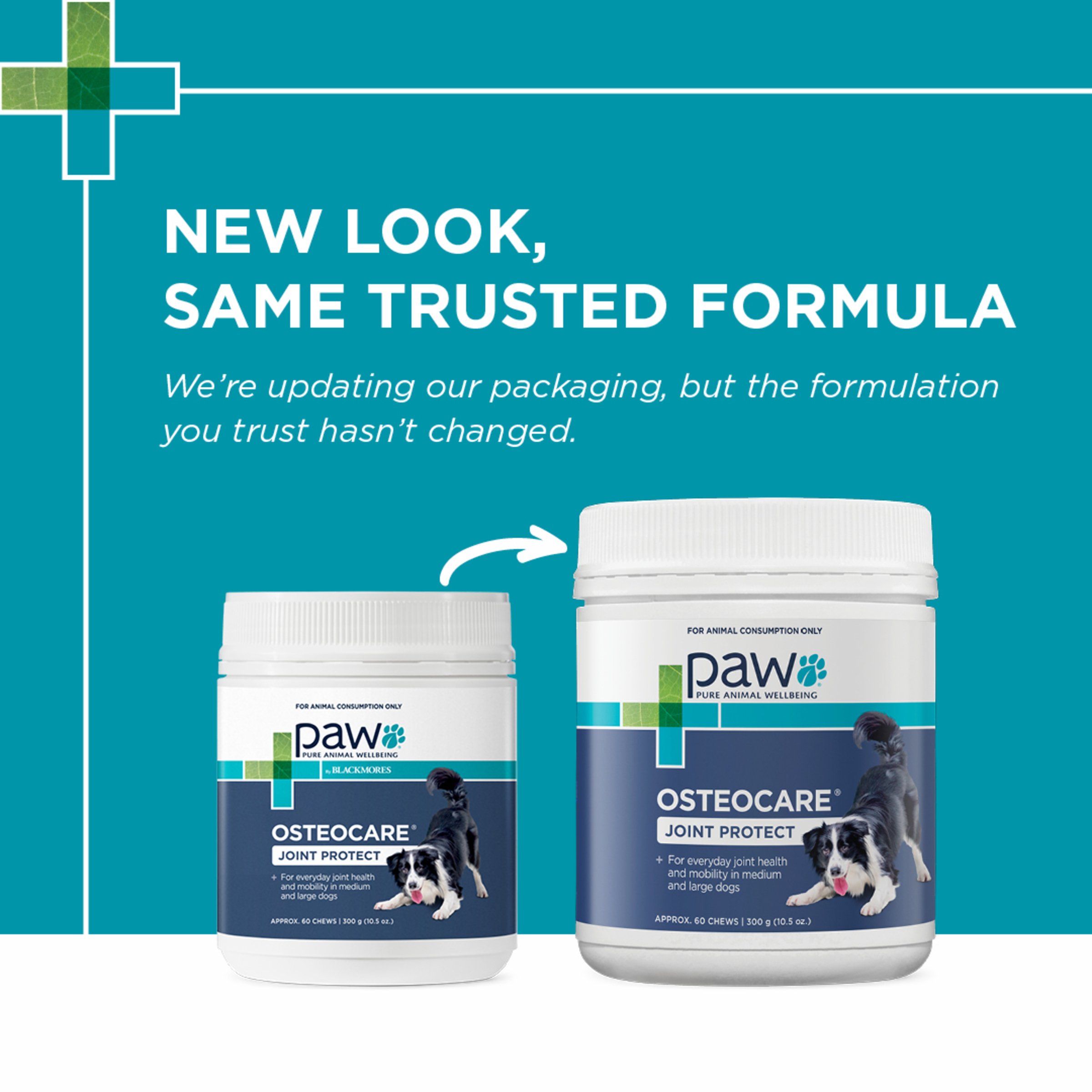 PAW Osteocare Chews 300g - Image 5