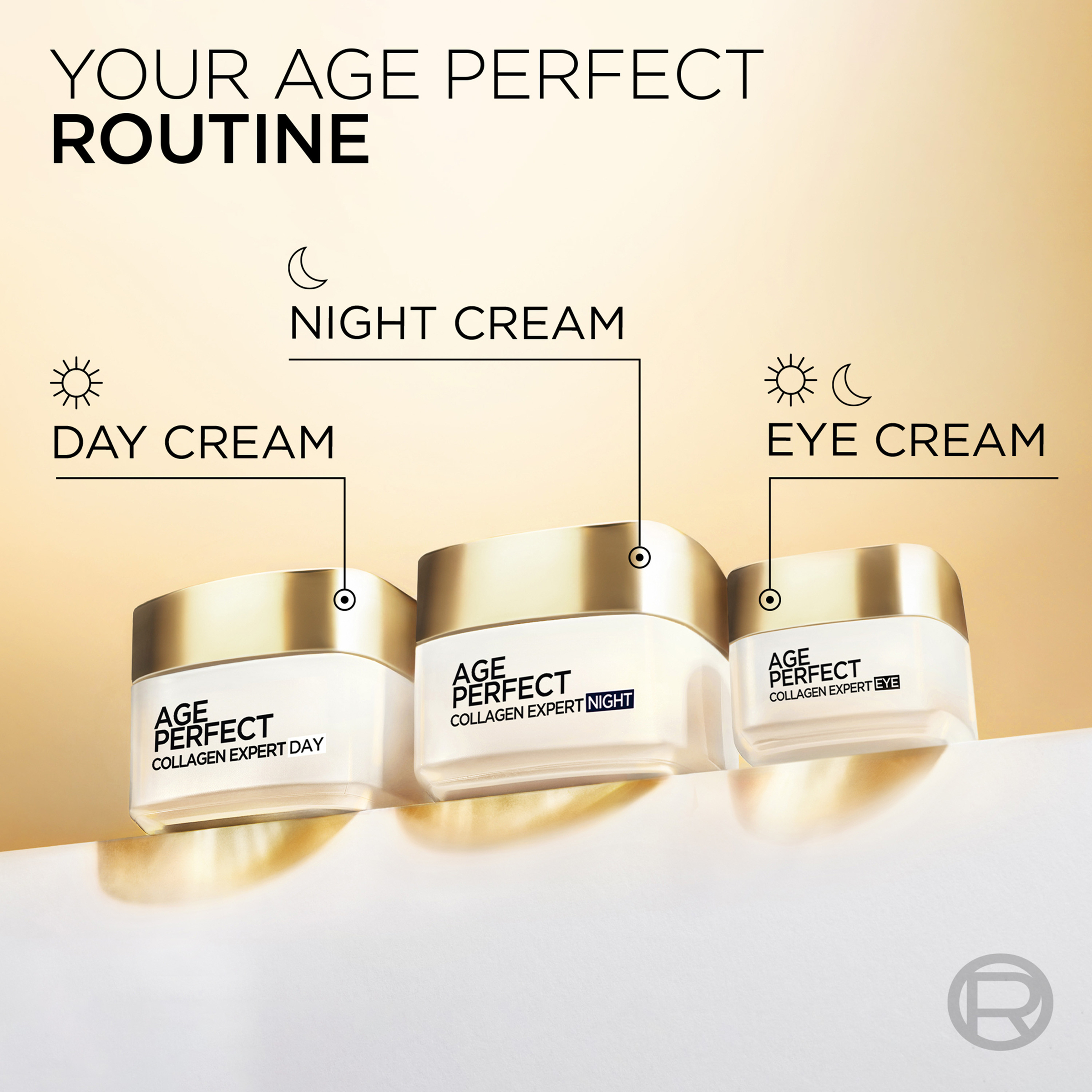 L'Oreal Paris Age Perfect Night Cream 50ml - Image 6