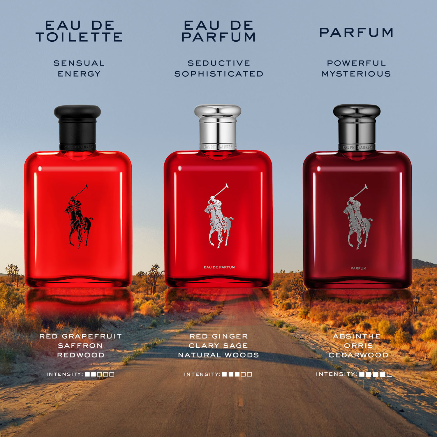 Ralph Lauren Polo Red EDT Spray 75ml - Image 7