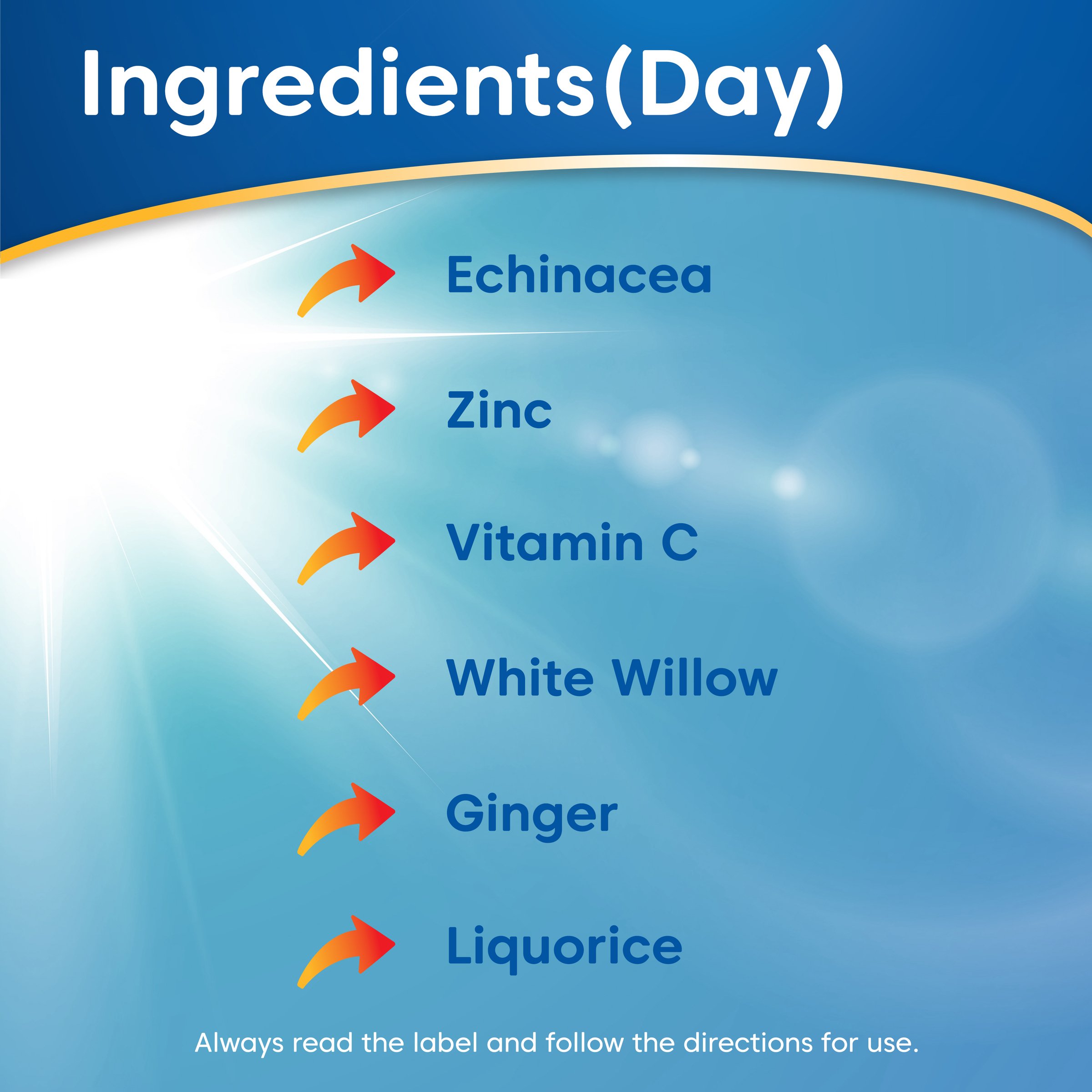 Ease-A-Cold Cough, Cold & Flu + Pain Day & Night - Image 8