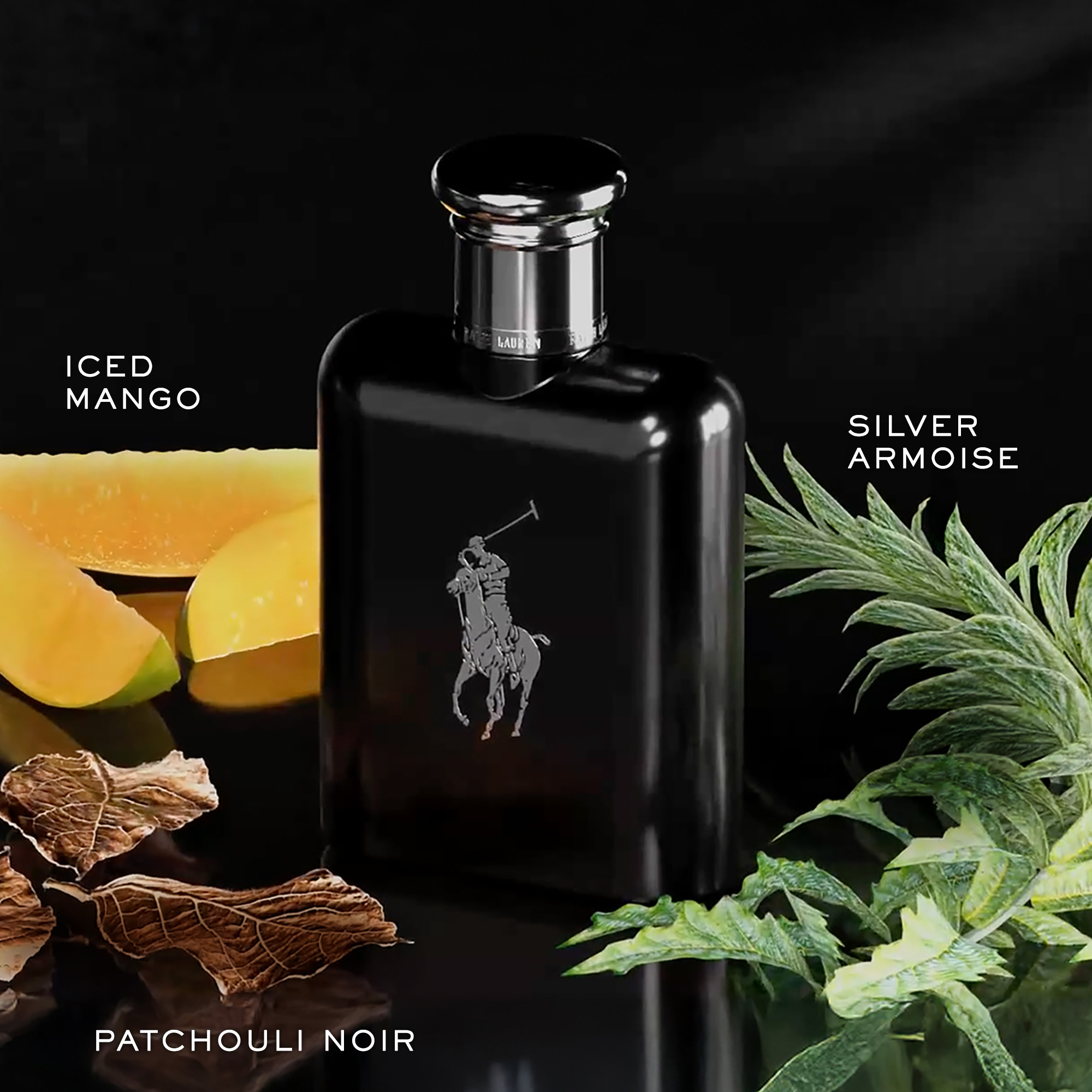 Ralph Lauren Polo Black Mens EDT Spray 75ml - Image 2