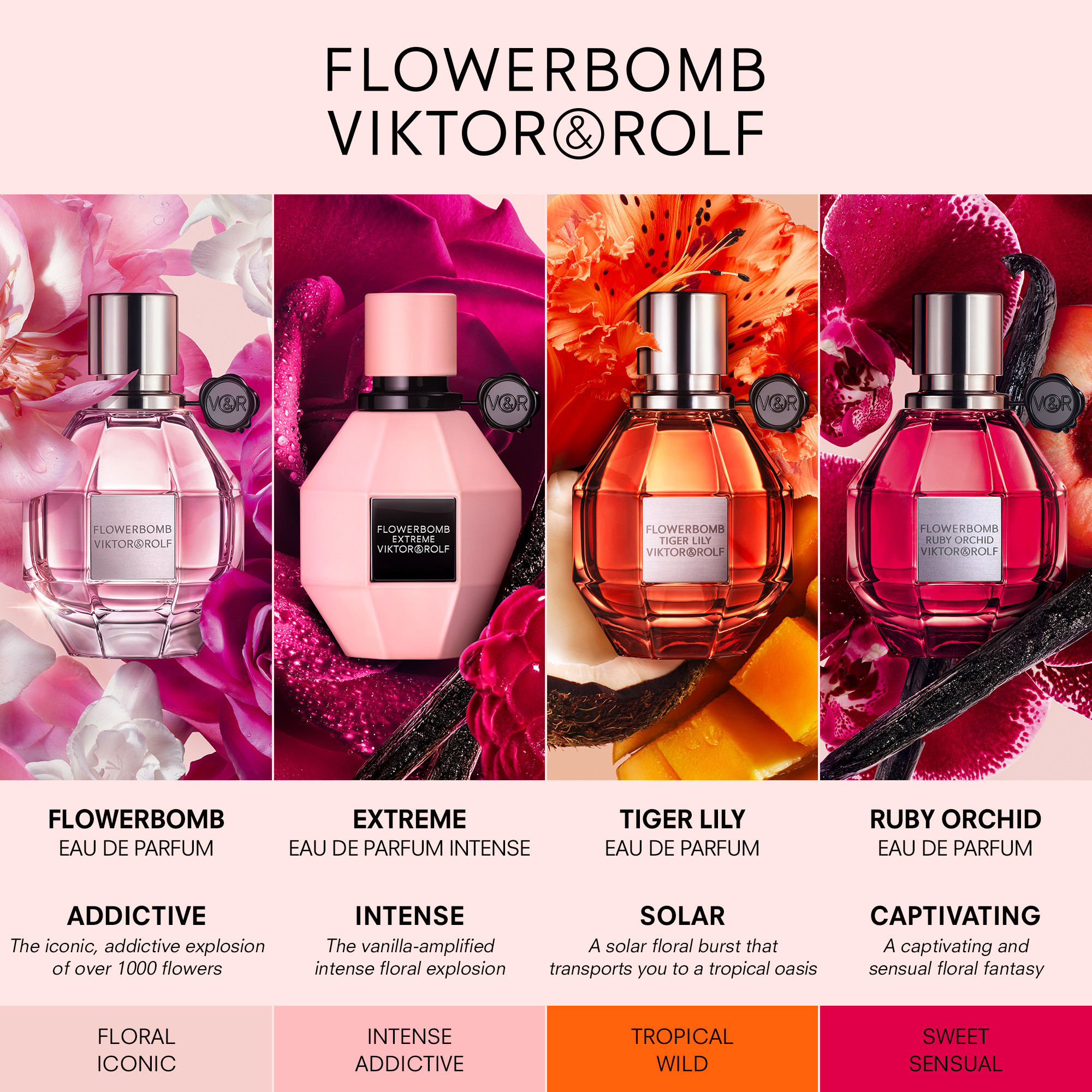 Viktor & Rolf Flowerbomb EDP Spray 50ml - Image 7