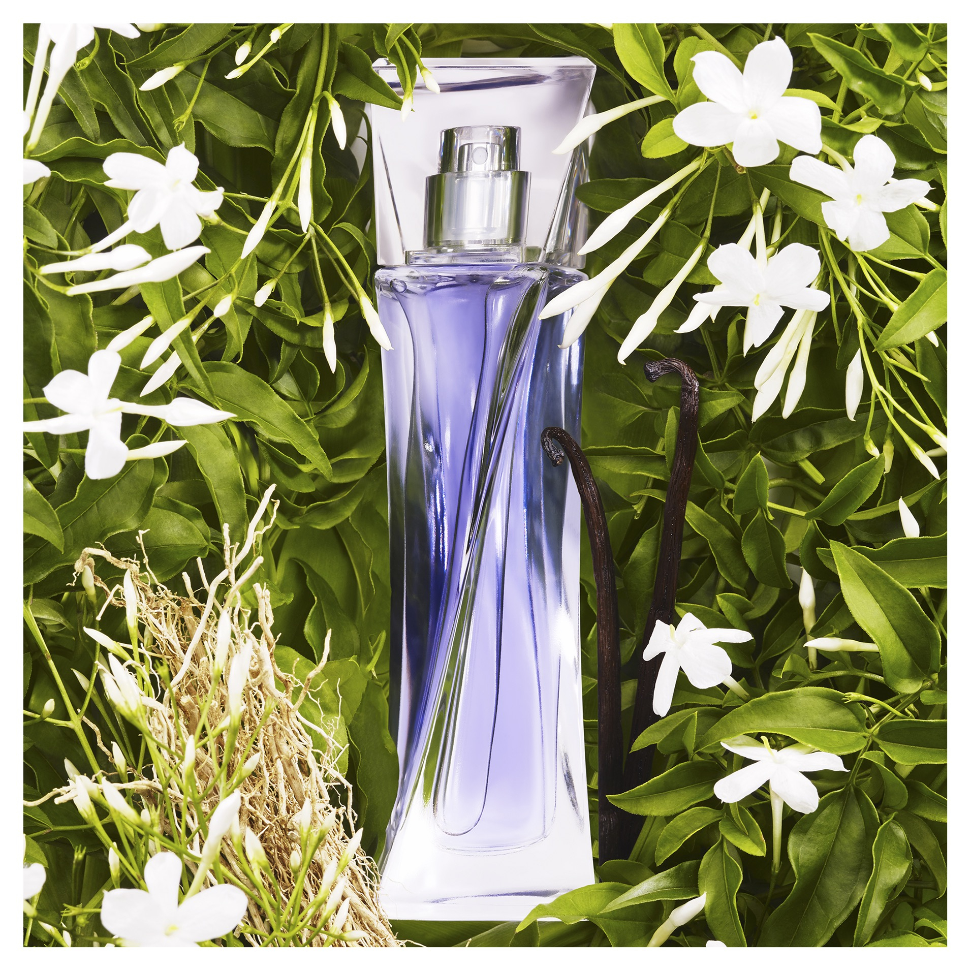 Lancome Hypnose EDP Vapo 30ml - Image 2