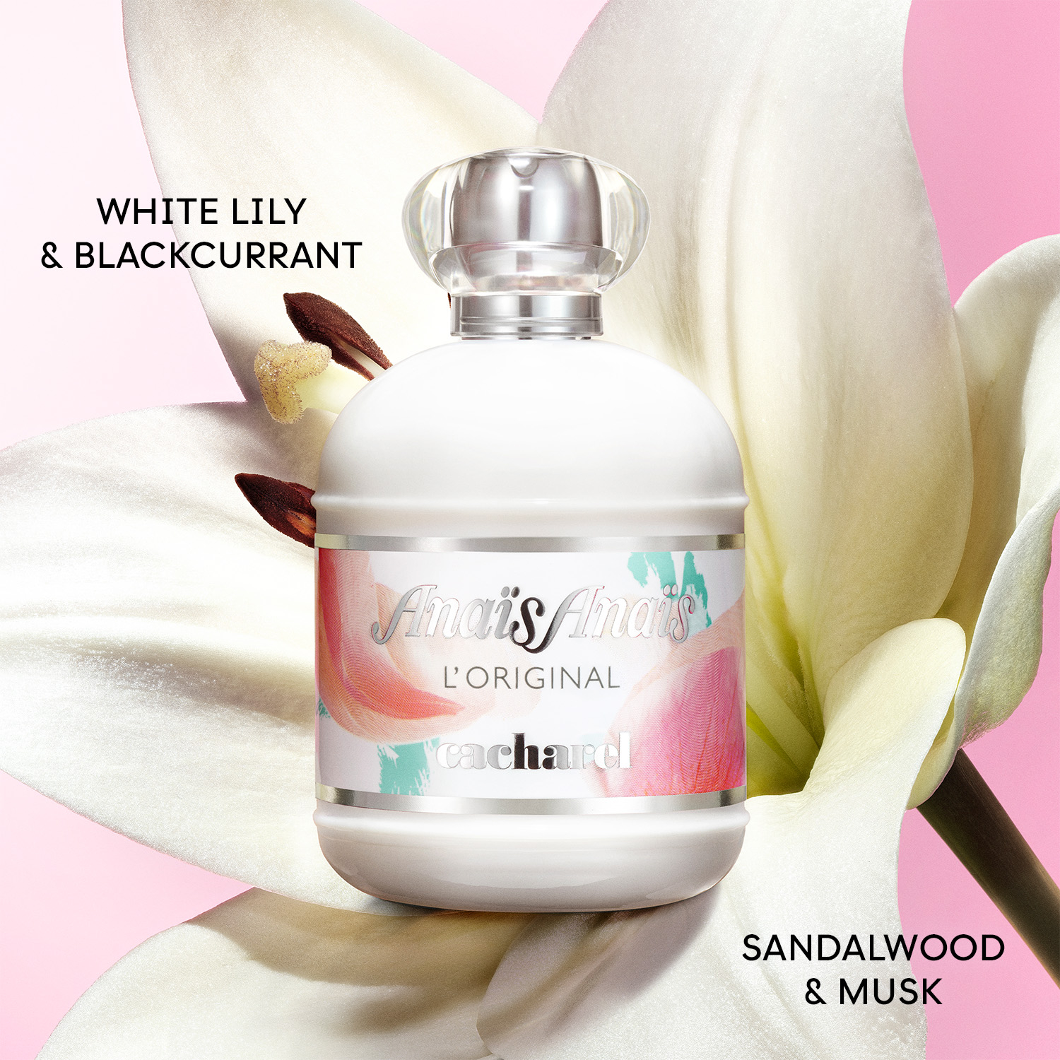 Cacharel Anais Anais EDT Spray 30ml - Image 3