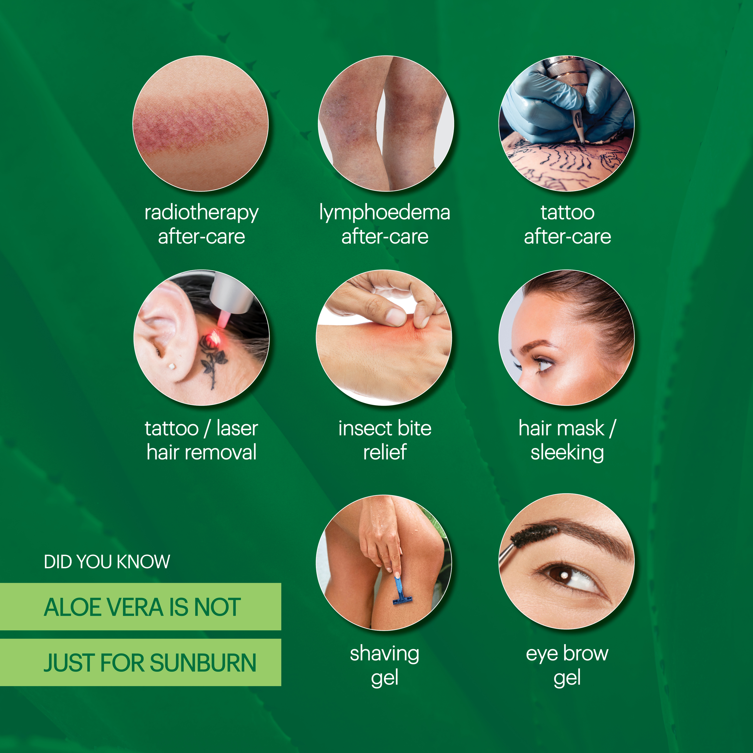 Plunkett's Aloe Vera Hi-Potency Moisturiser Lotion 200ml - Image 6