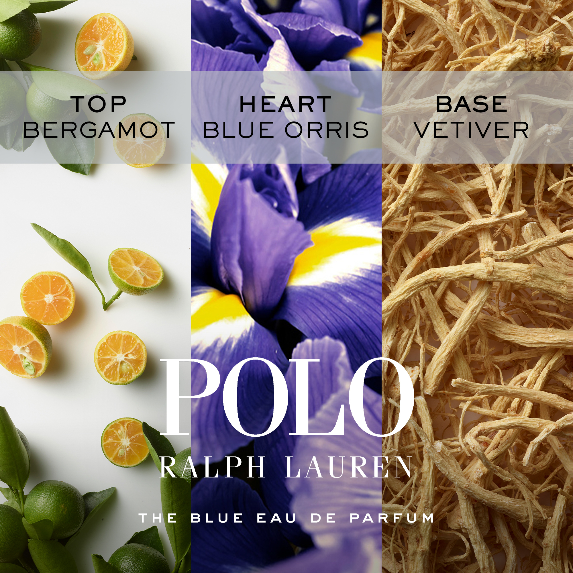 Ralph Lauren Blue EDP Spray 75ml - Image 5
