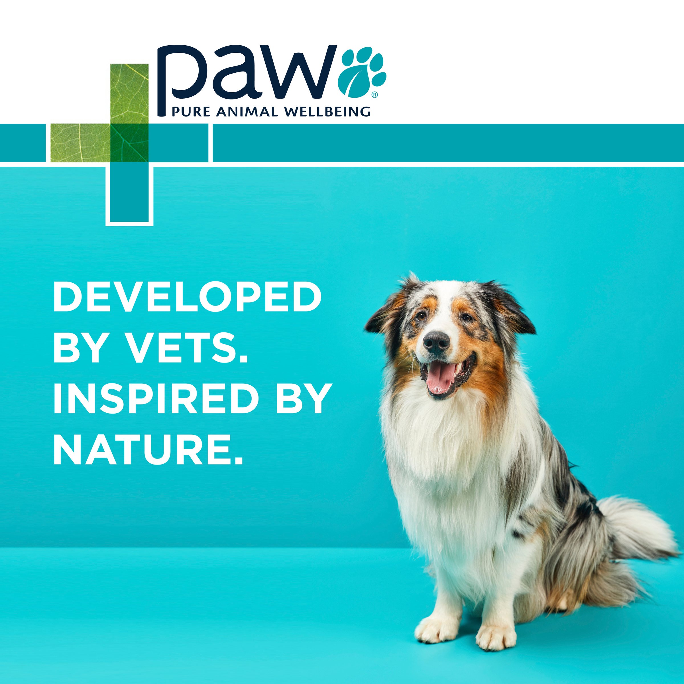 PAW Complete Calm 300g - Image 4