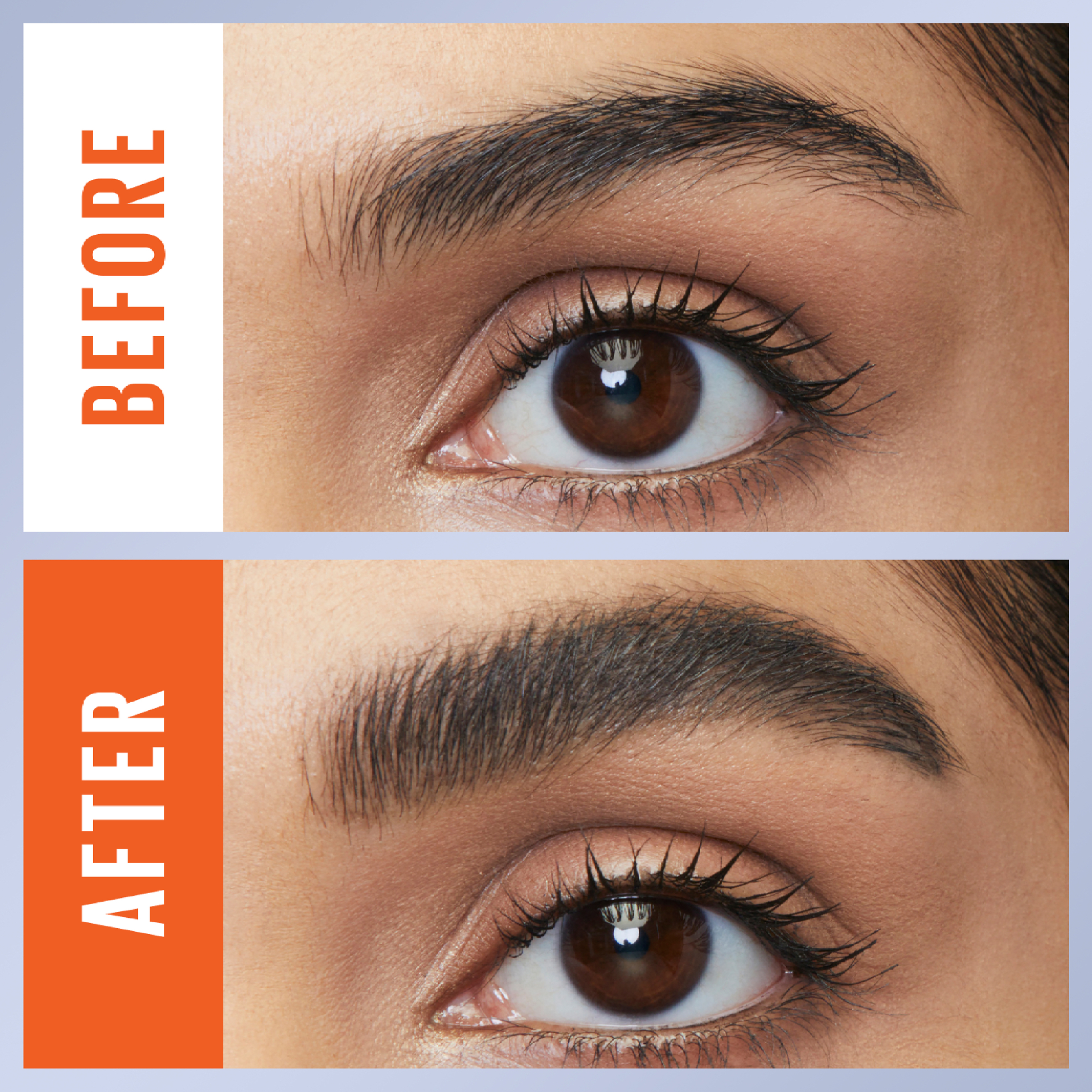 Maybelline Tattoostudio Brow Lift Deep Brown 1 each - Image 5