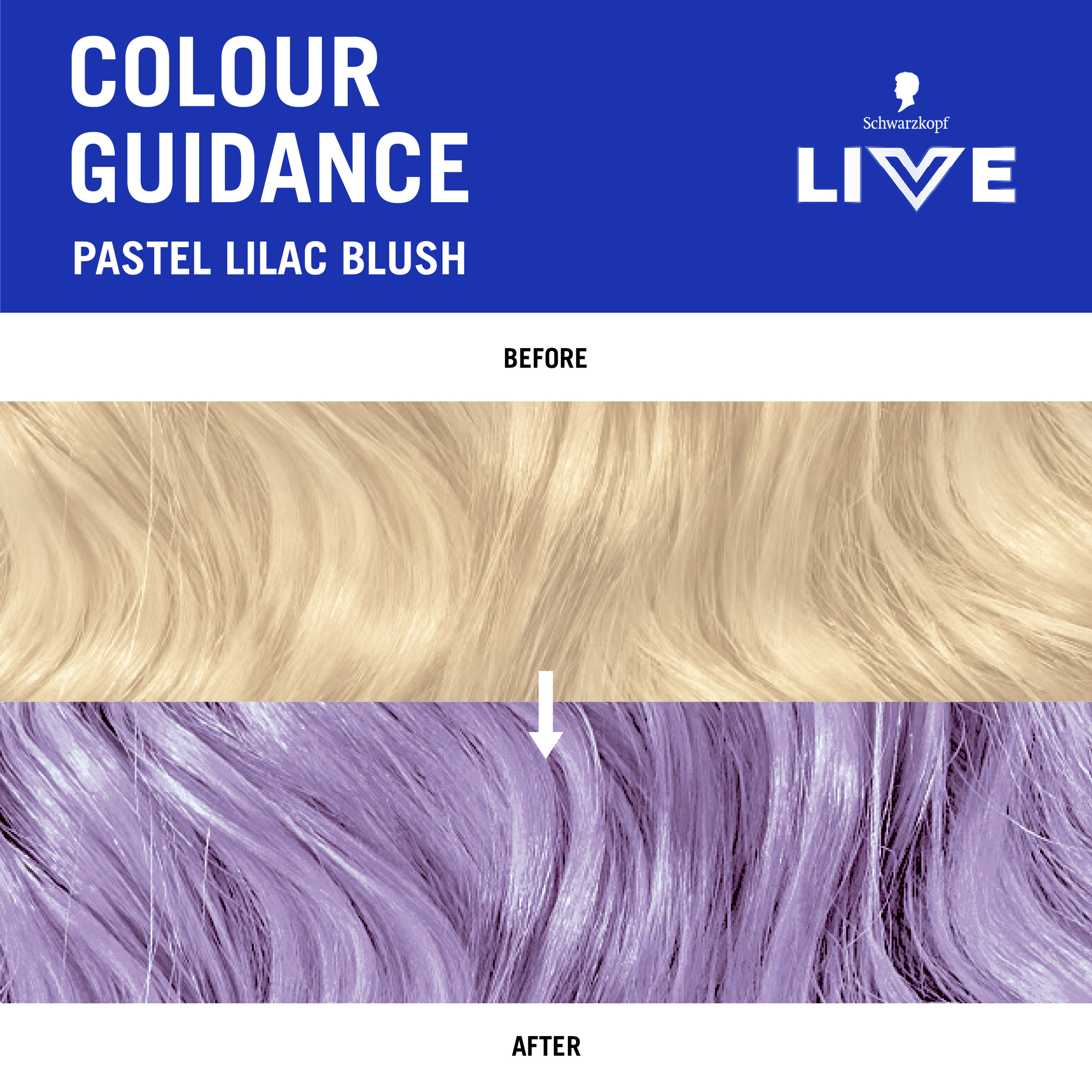 Schwarzkopf Live Colour Pastels Lilac Blush 75ml - Image 6