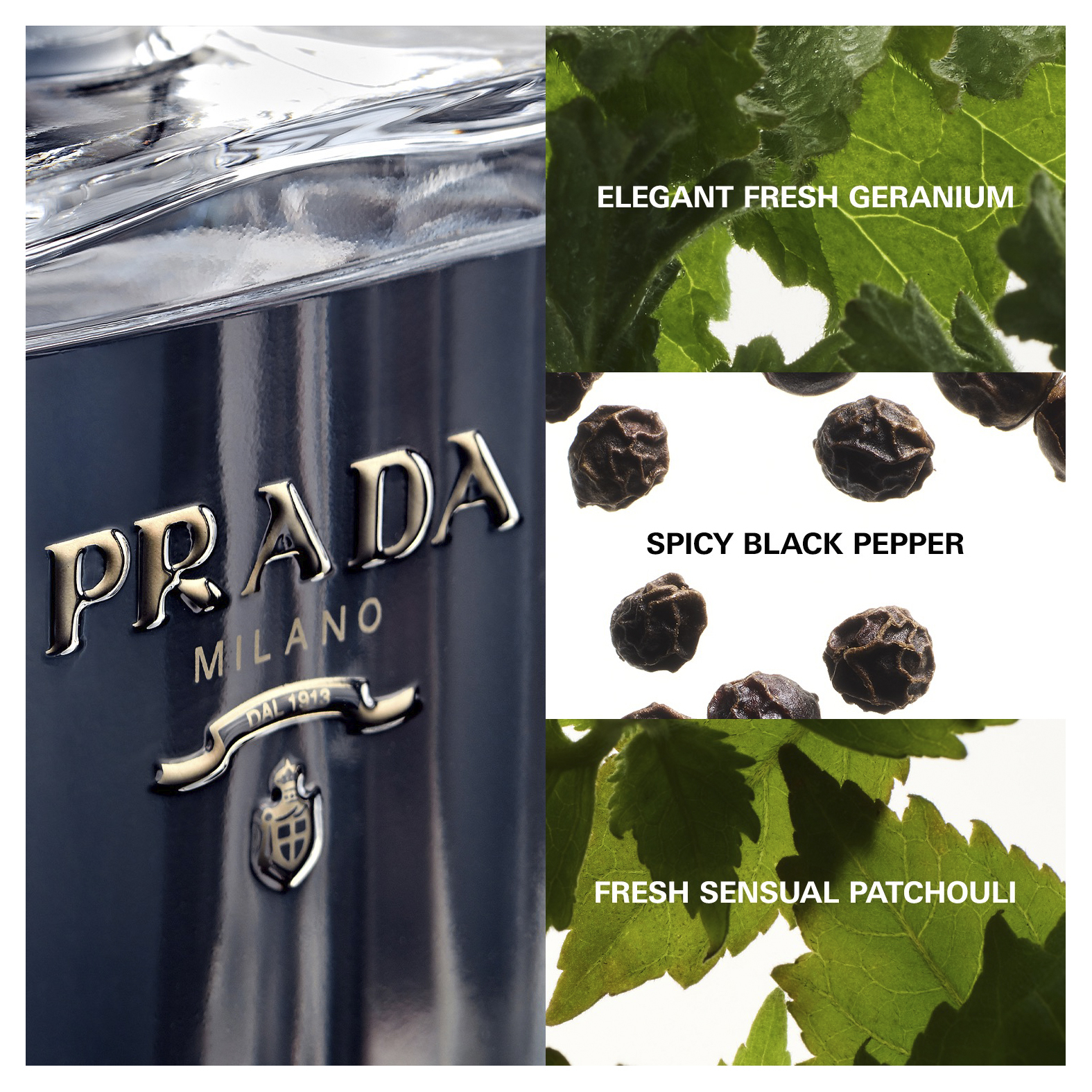 Prada L'Homme EDT Spray 100ml - Image 4