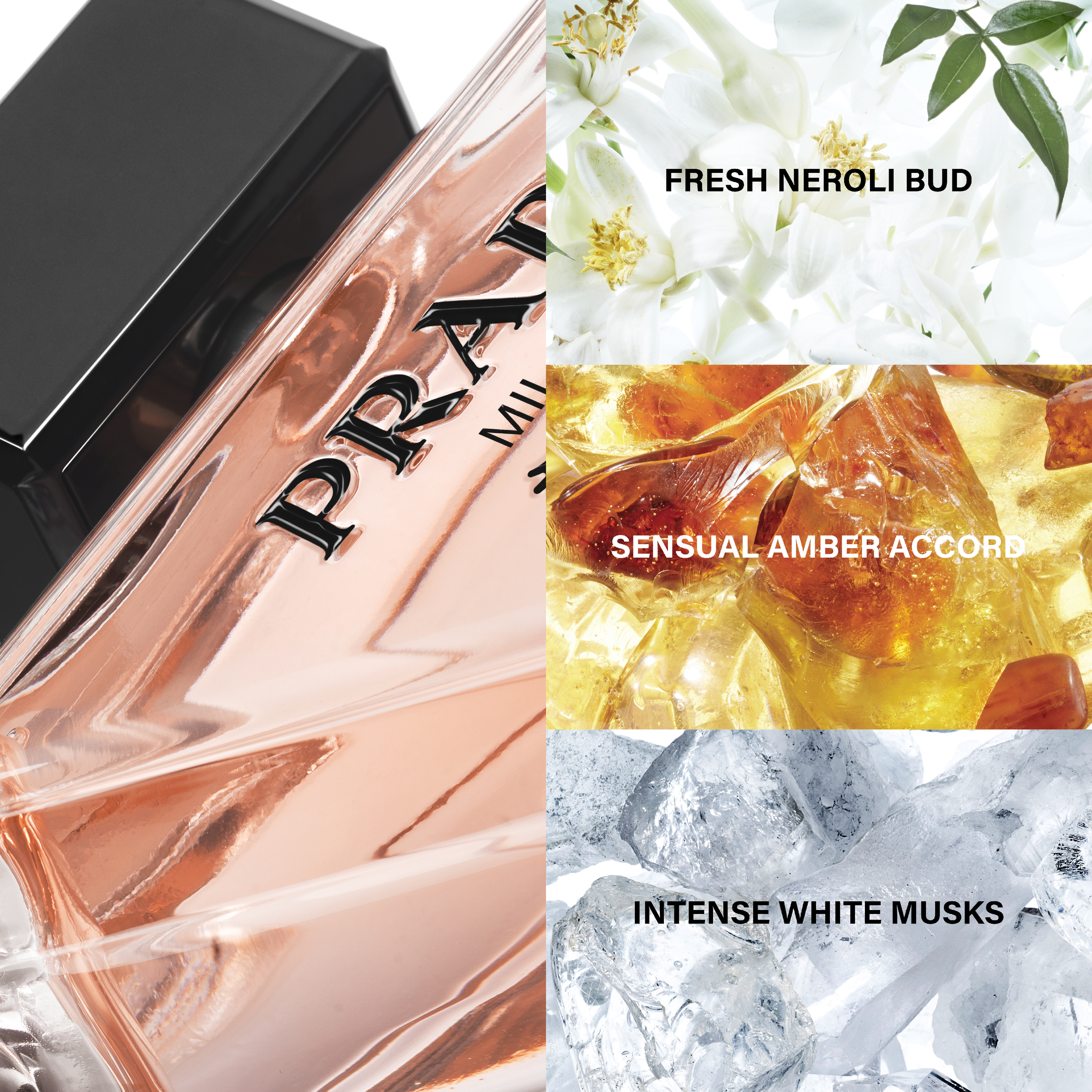 Prada Paradoxe EDP Spray 30ml - Image 5