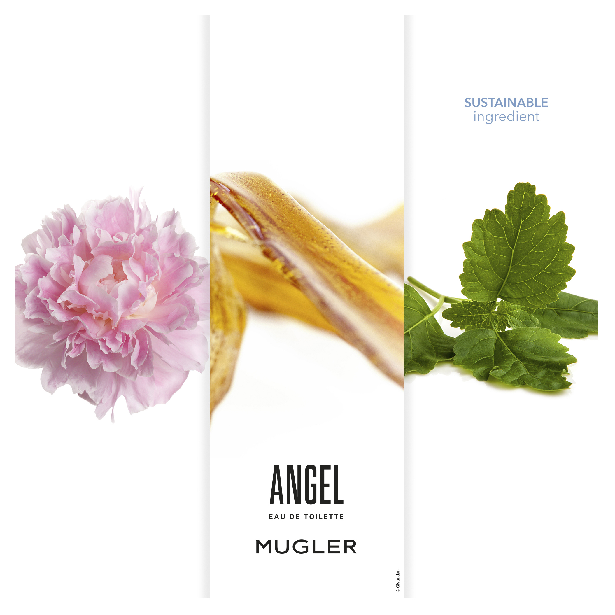 Thierry Mugler Angel EDT Spray 100 ml - Image 3