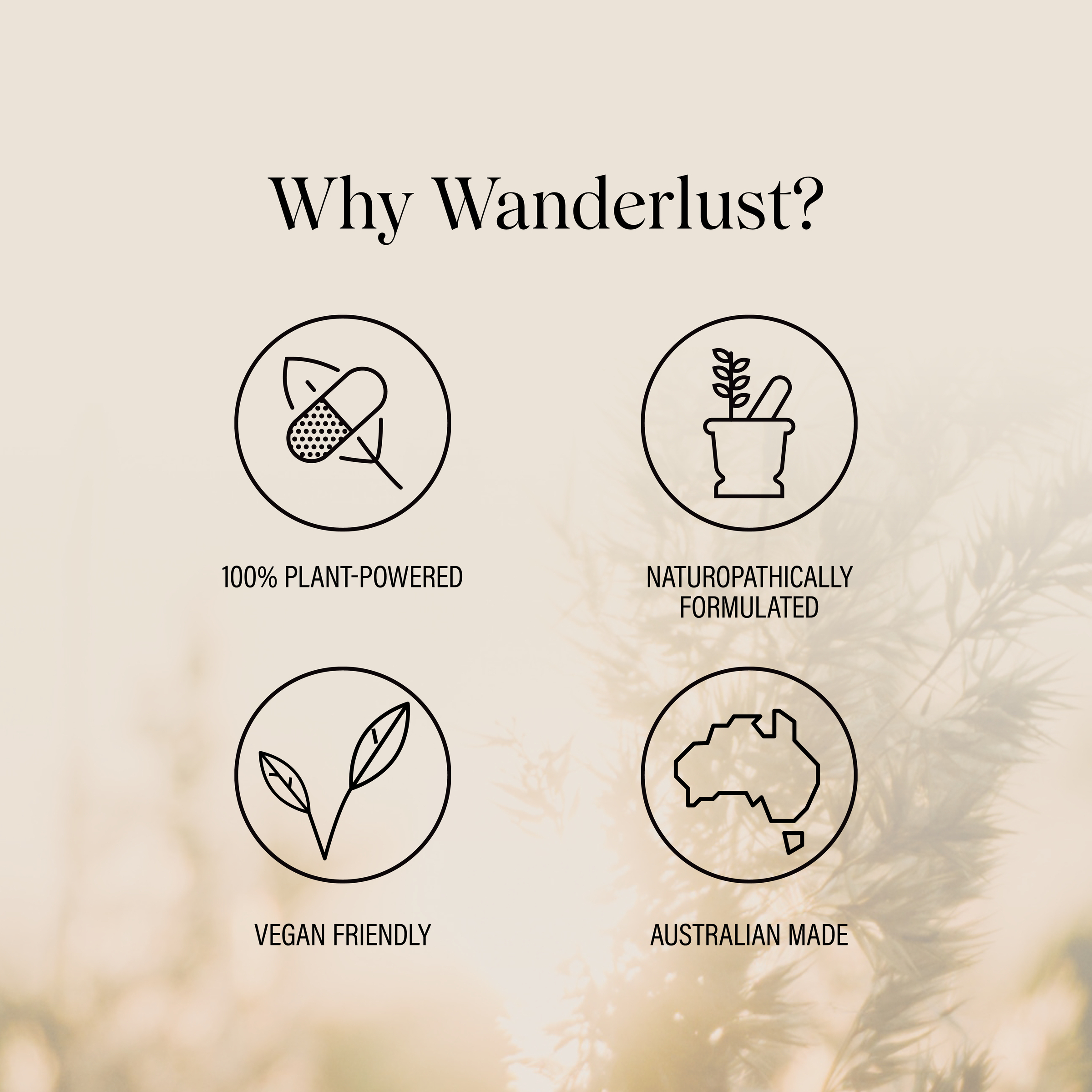 Wanderlust Plant Omega-3 - 60 capsules - Image 5