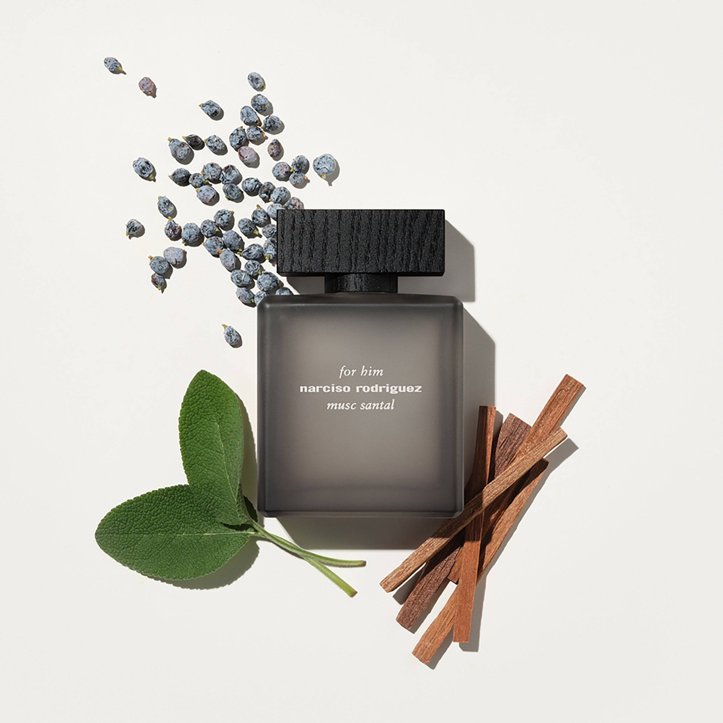 Narciso Rodriguez For Him Musc Santal EDPI Spray 100ml - Image 3