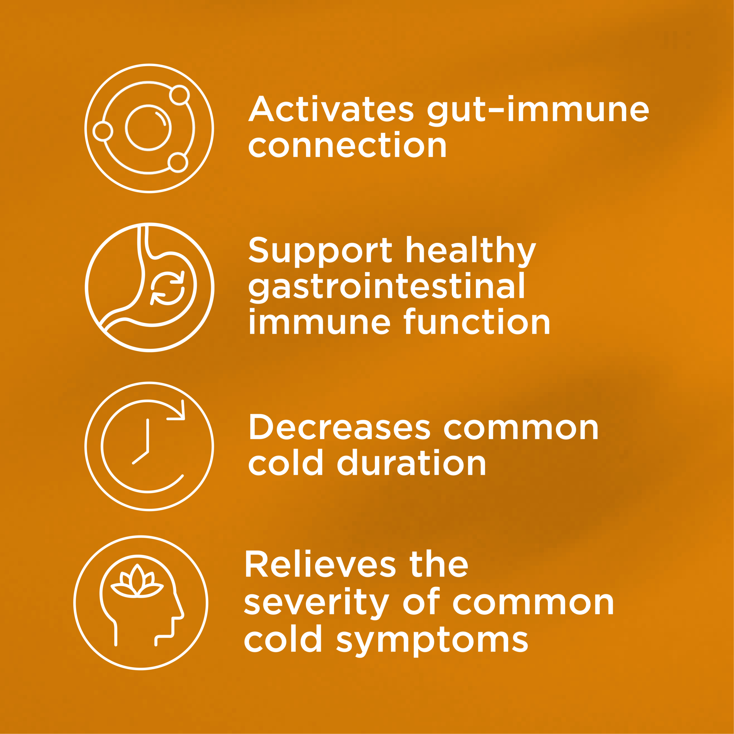 Blackmores Gut Immune Biotic 60 tablets - Image 9
