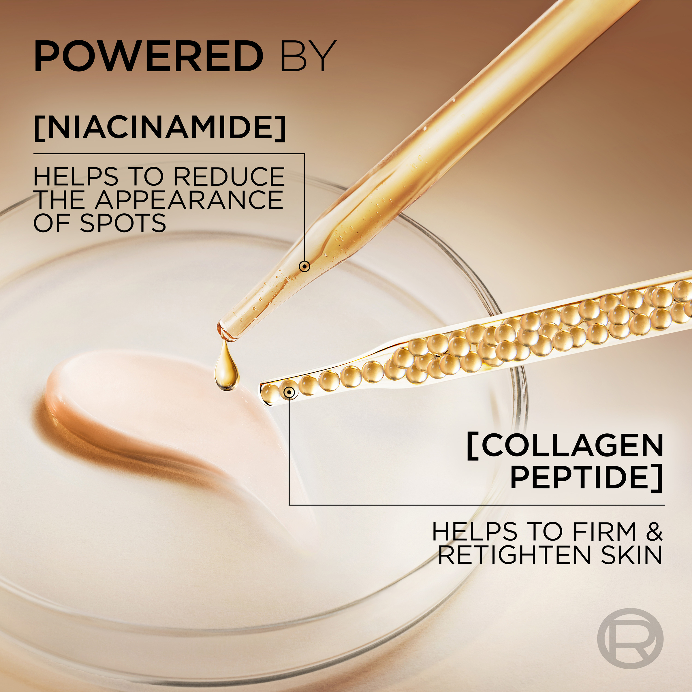 L'Oreal Paris Age Perfect Classic Collagen Gift Set 1 each - Image 4