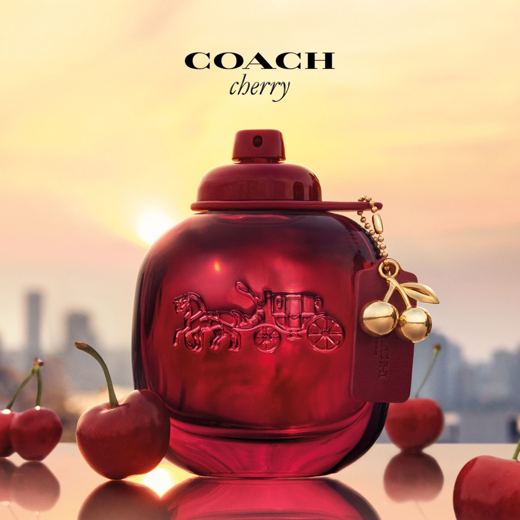 Coach Cherry Parfum Spray 90ml - Image 7