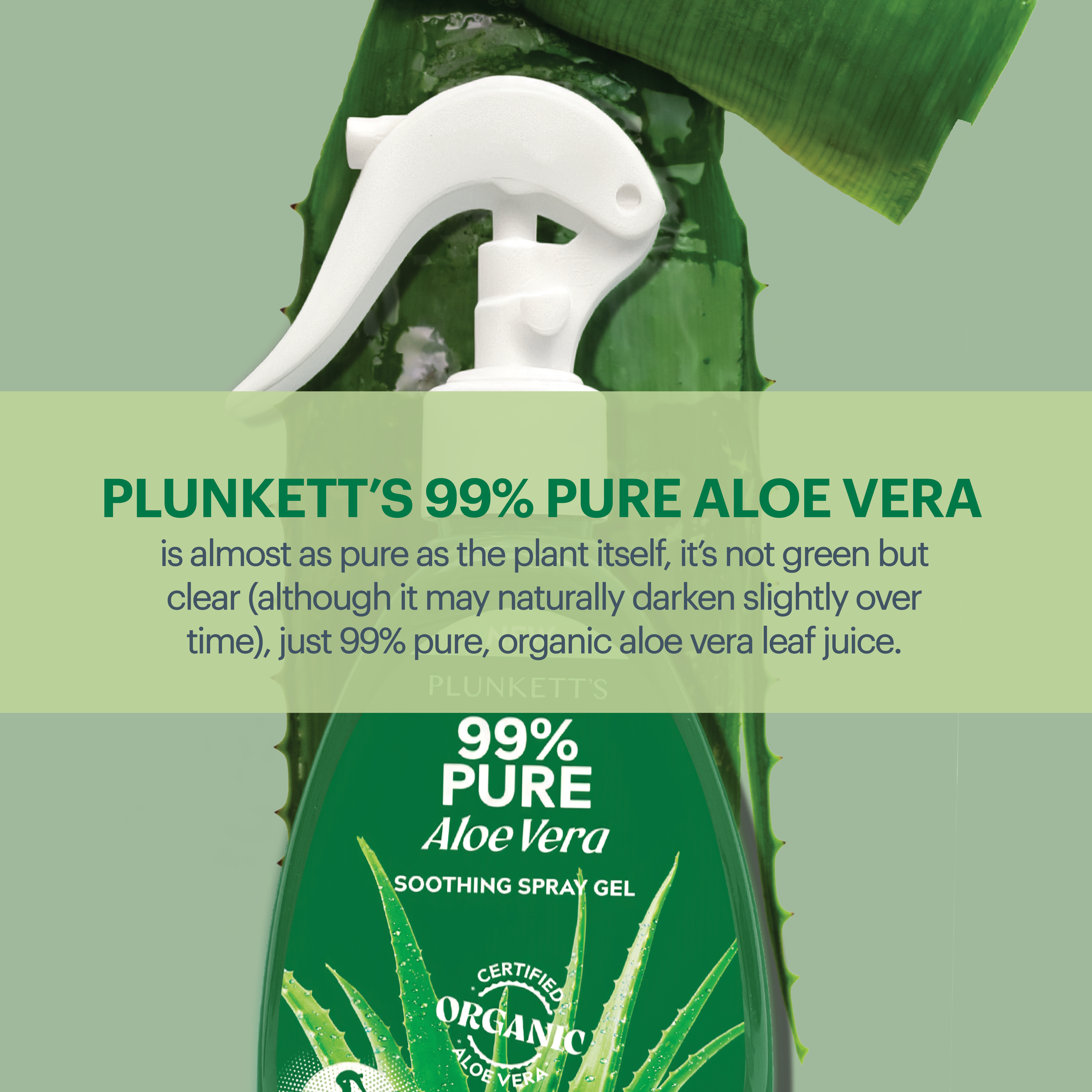 Plunkett's 99% Pure Aloe Vera Soothing Spray Gel 240ml - Image 3