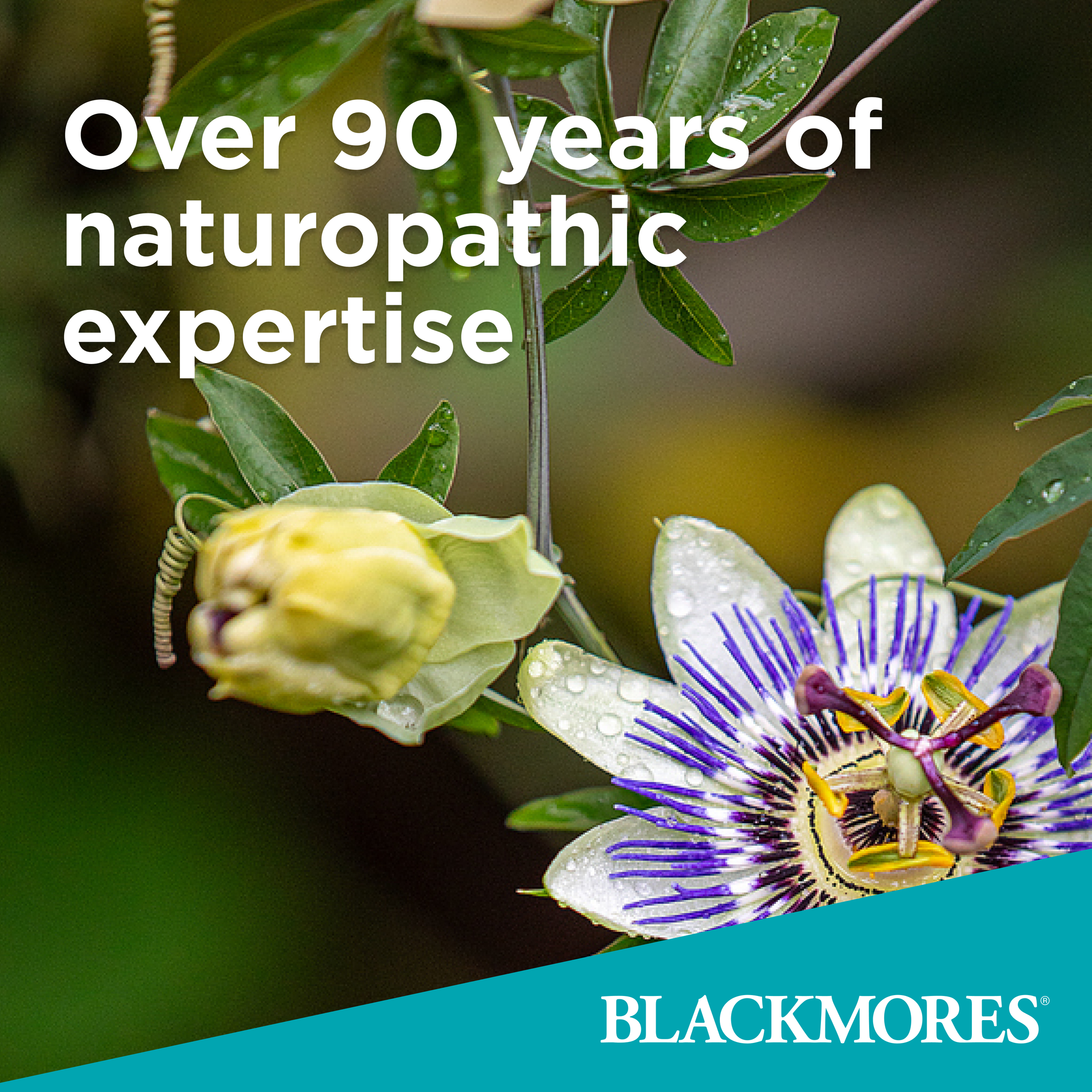 Blackmores Peri + Menopause Balance 60 tablets - Image 4