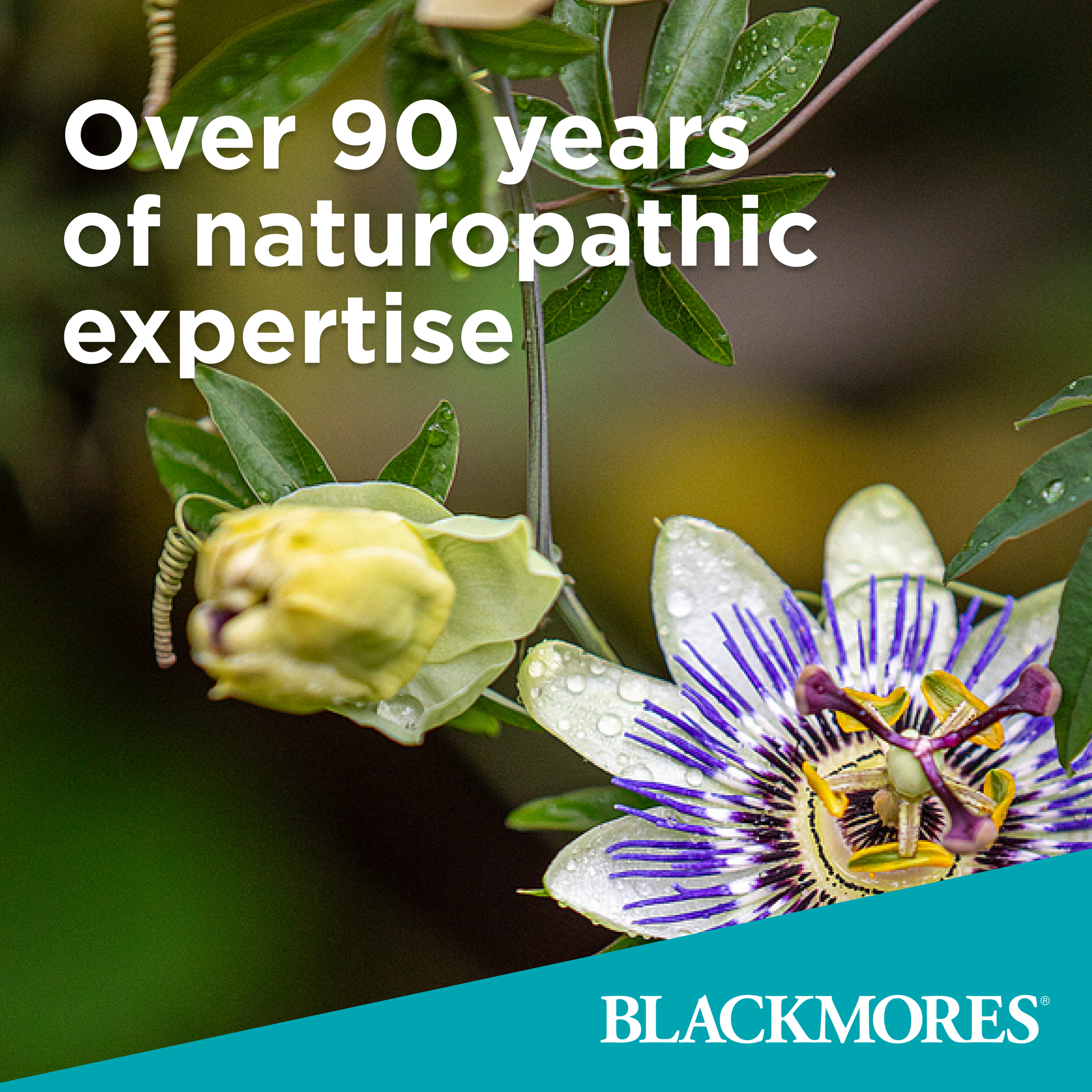 Blackmores Cognition Ultra 30 tablets - Image 4
