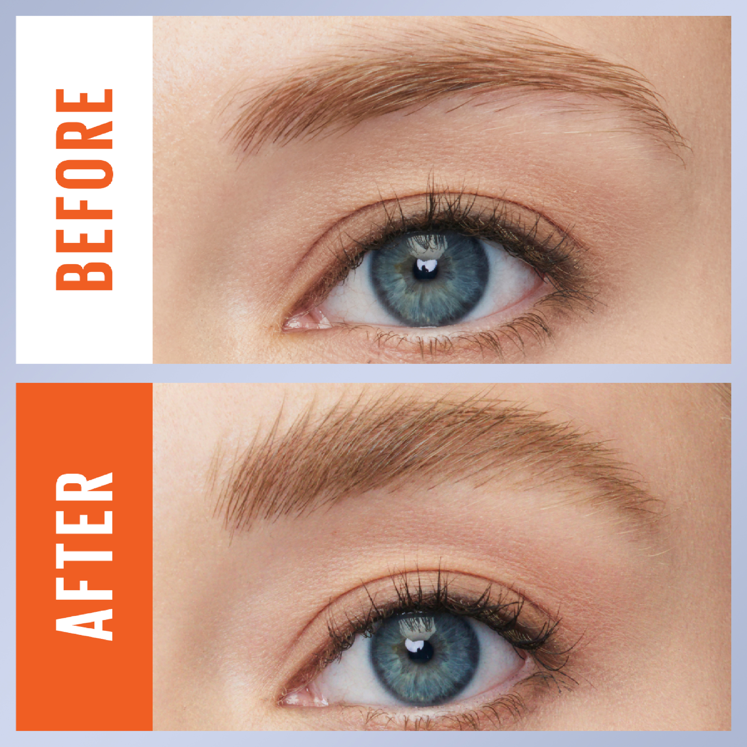 Maybelline Tattoostudio Brow Lift Clear 1 each - Image 5