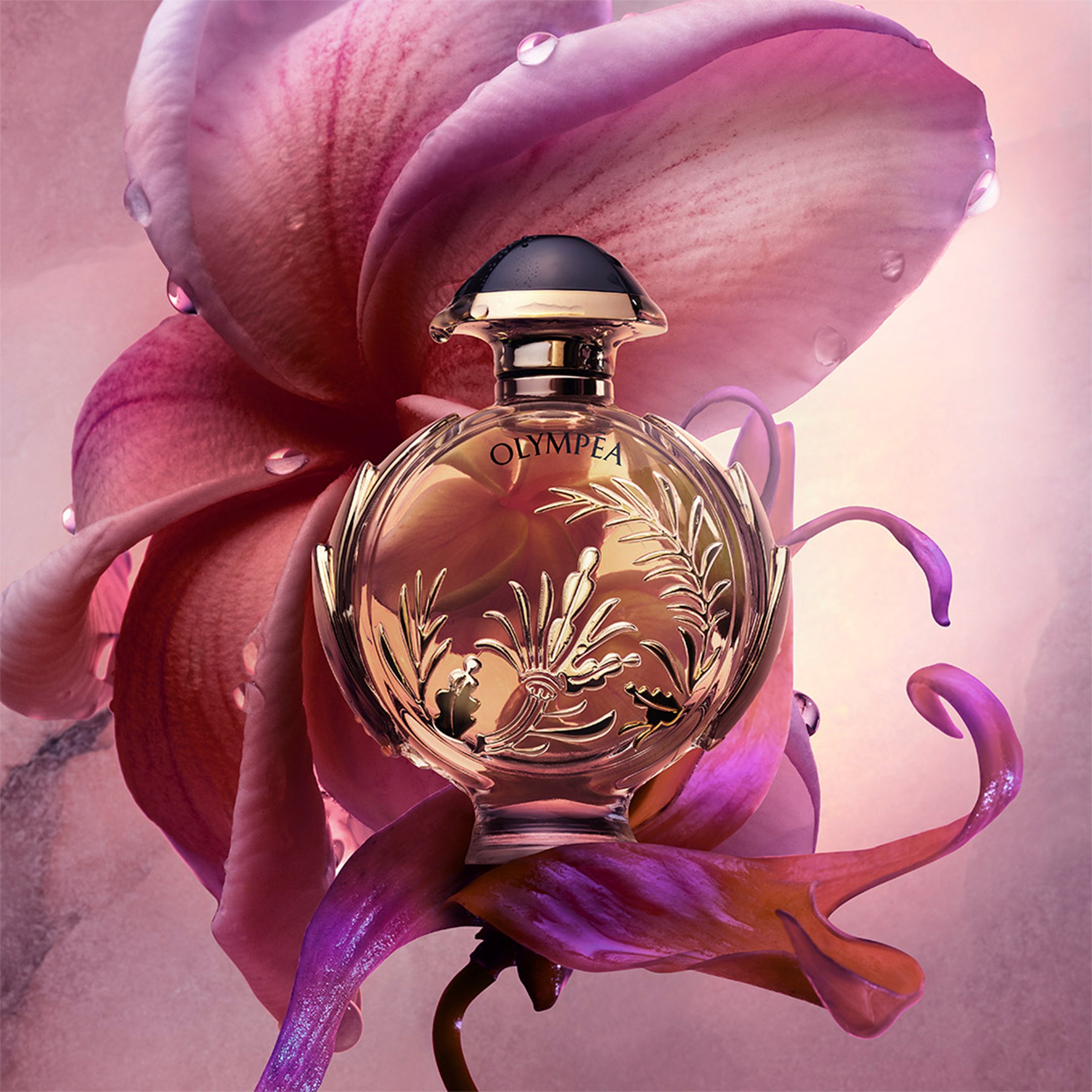 Rabanne Olympea Solar EDP Spray 50ml - Image 5