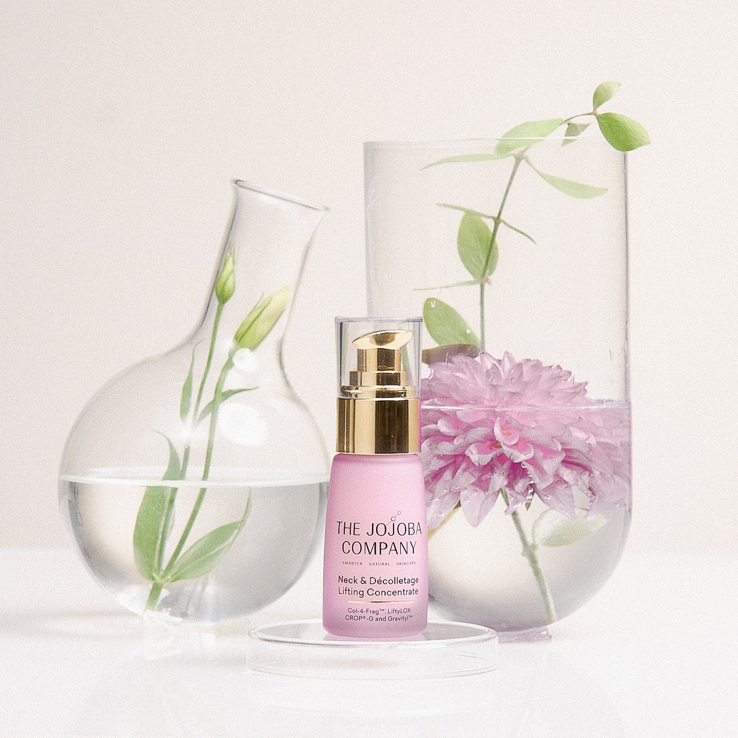 The Jojoba Company Neck & Décolletage Lifting Concentrate 30ml - Image 4