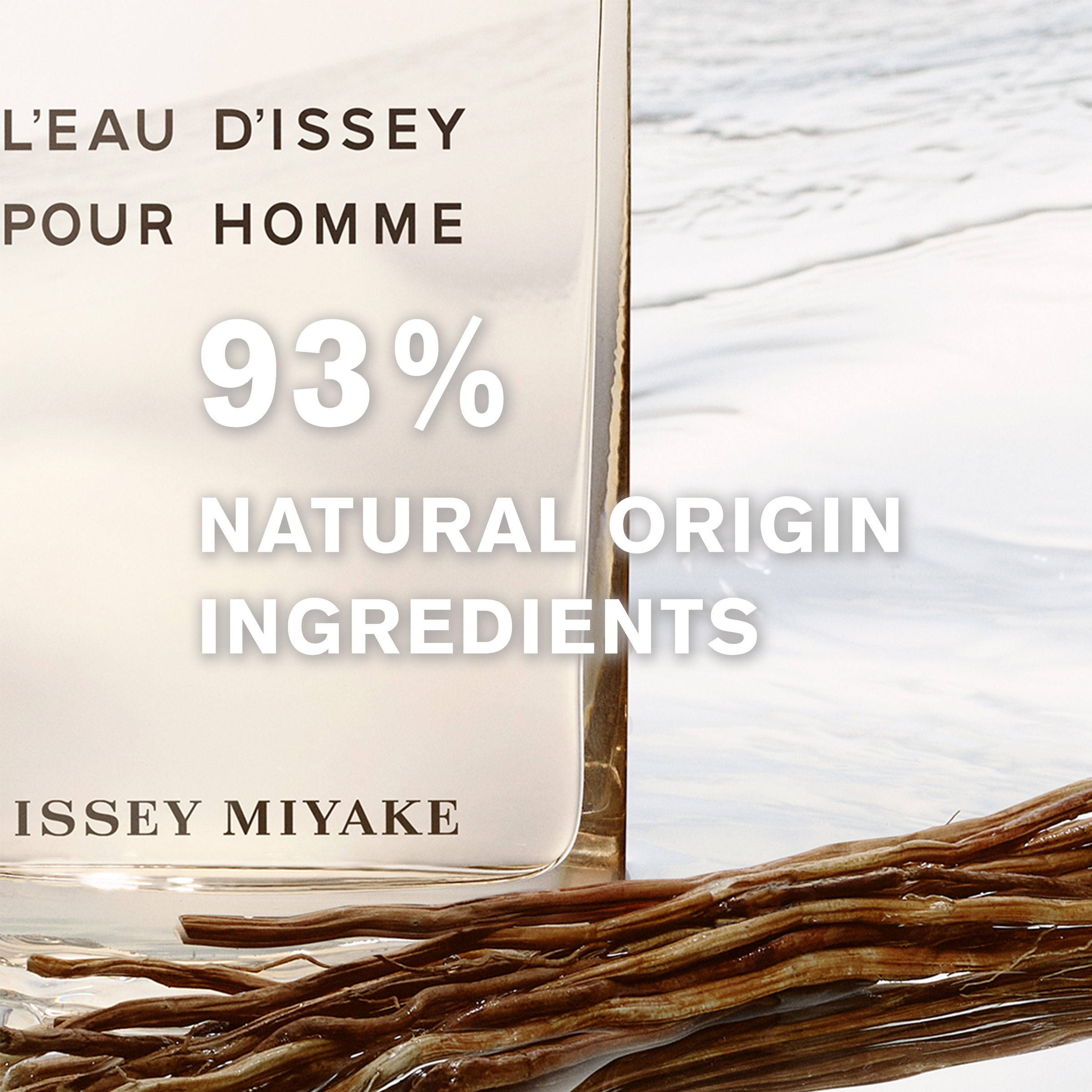 Issey Miyake L’Eau d’Issey Pour Homme Vétiver EDTI Spray 50ml - Image 6