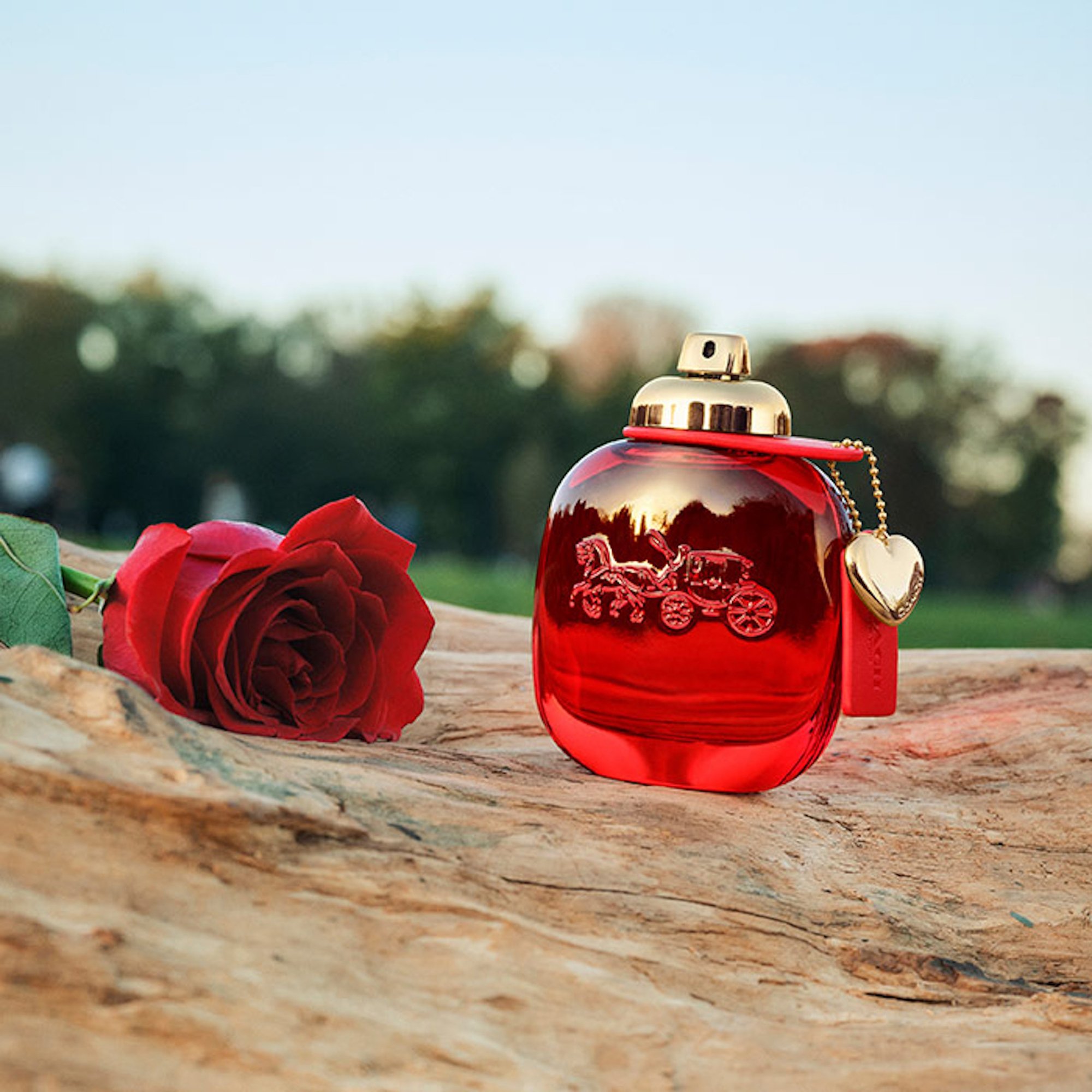 Coach Love EDP Spray 50ml - Image 4