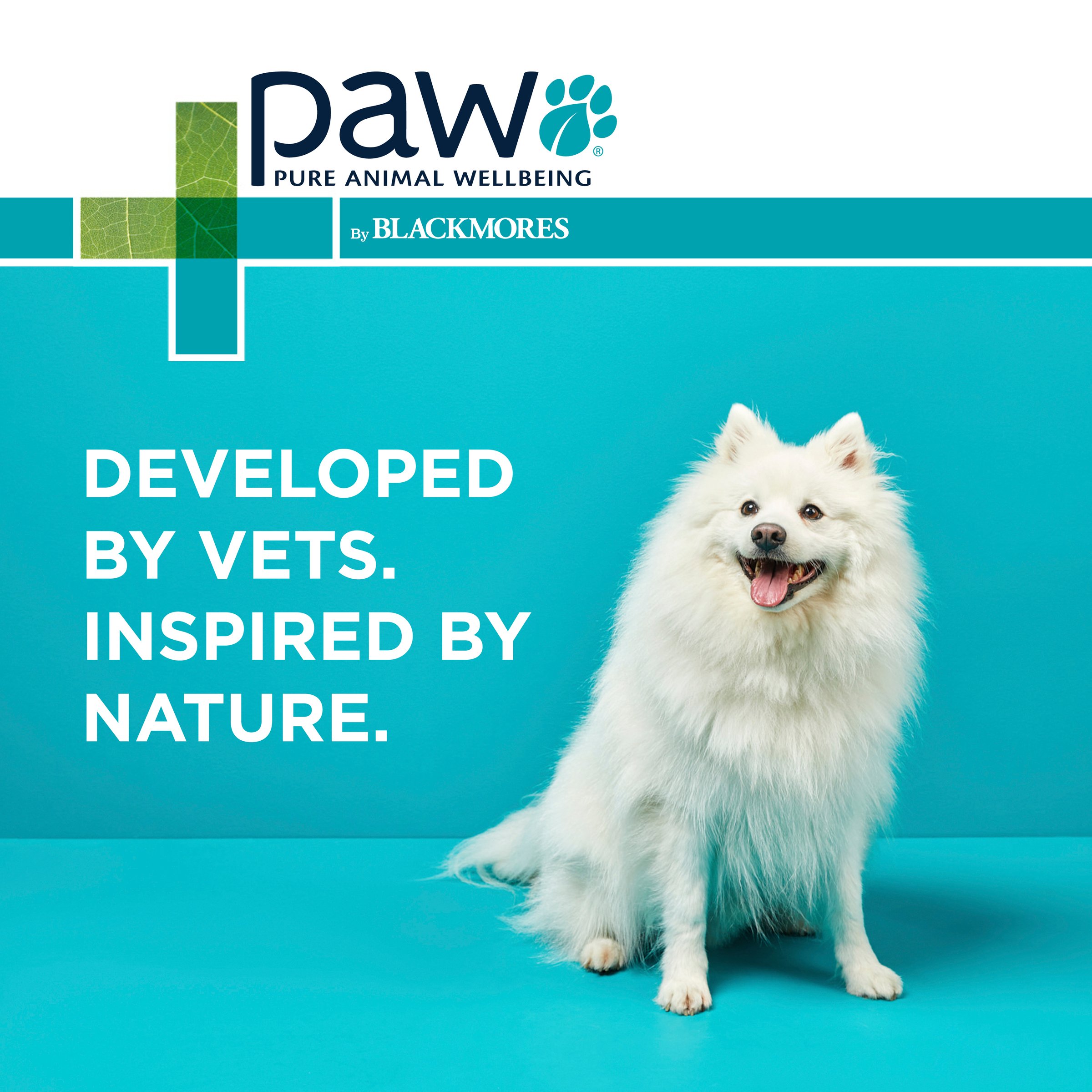 PAW Dermega 200ml - Image 6