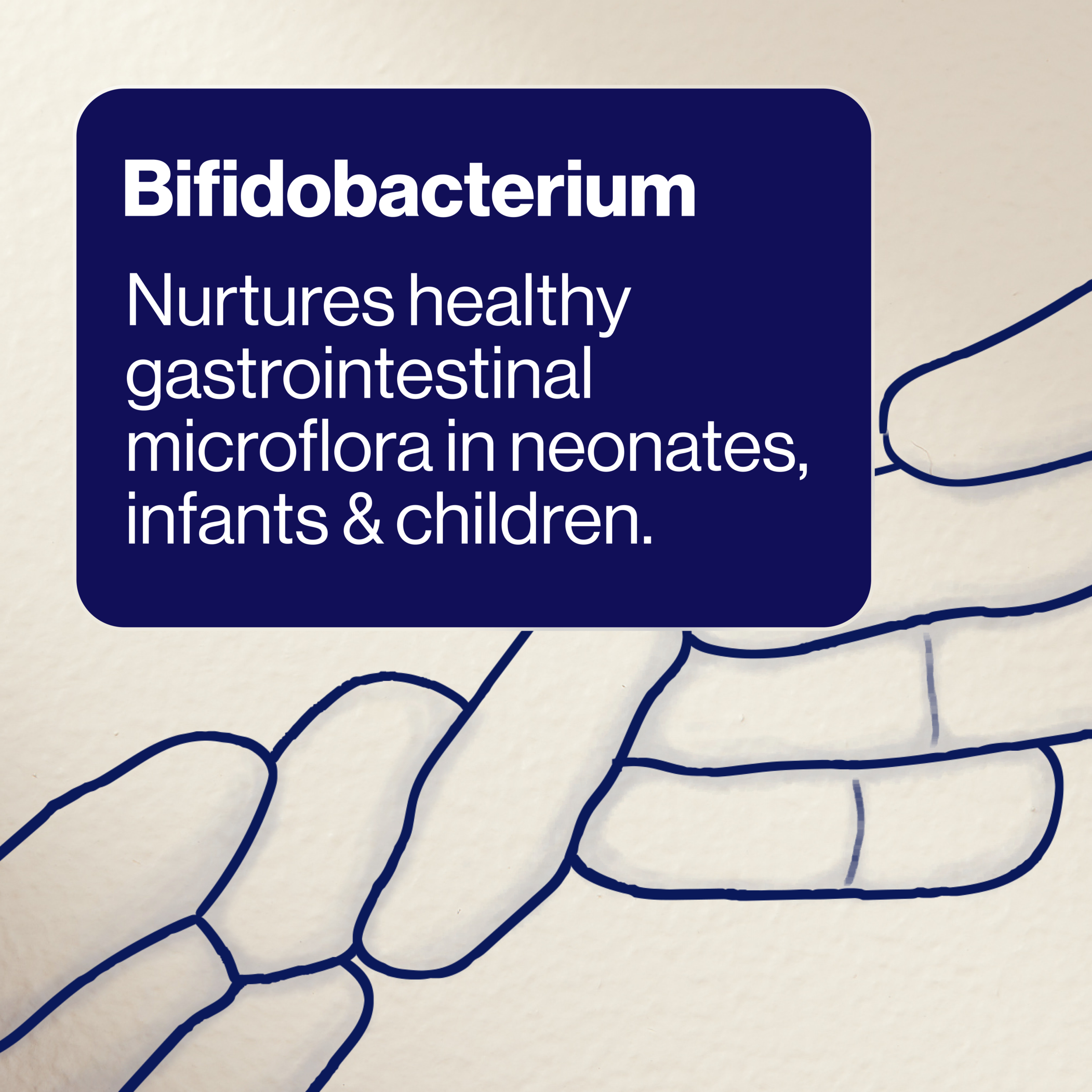 BioCeuticals BabyBiotic 0+Years 100g - Image 8