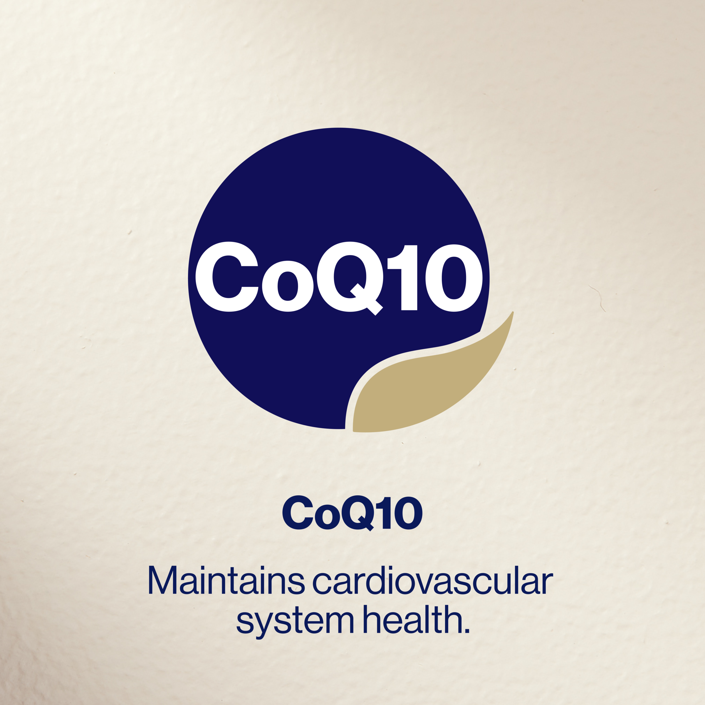 BioCeuticals CoQ10 Excel 150mg - 60 soft capsules - Image 8