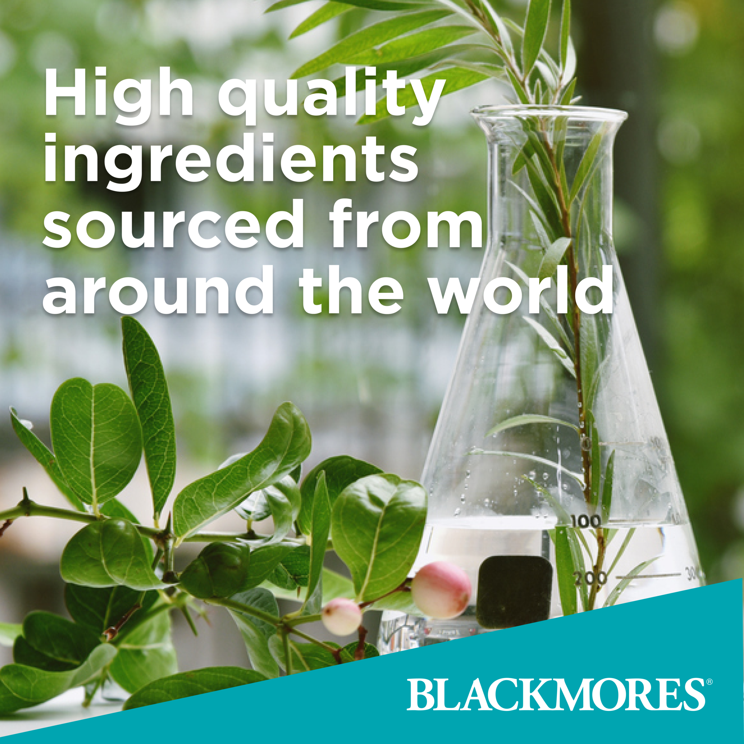 Blackmores Pregnancy & Breast-Feeding Gold 180 capsules - Image 4
