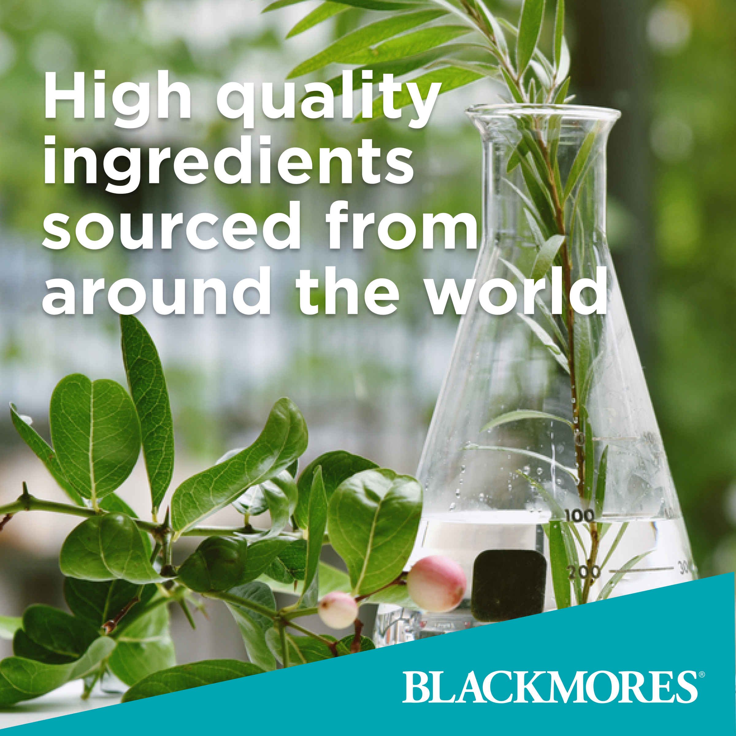 Blackmores Fish Oil 1000 - 200 capsules - Image 4