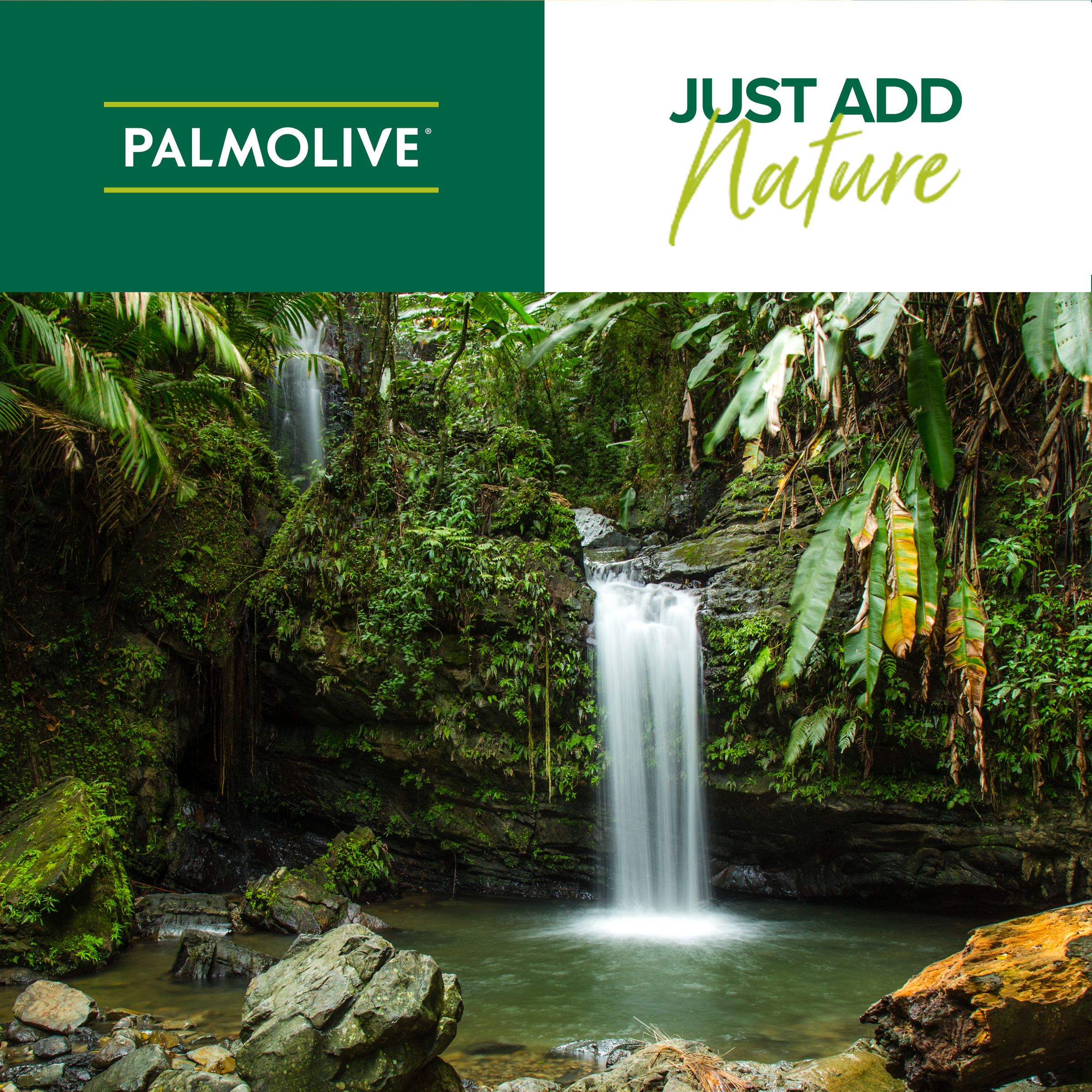 Palmolive Men Shower Gel Active 1L - Image 4