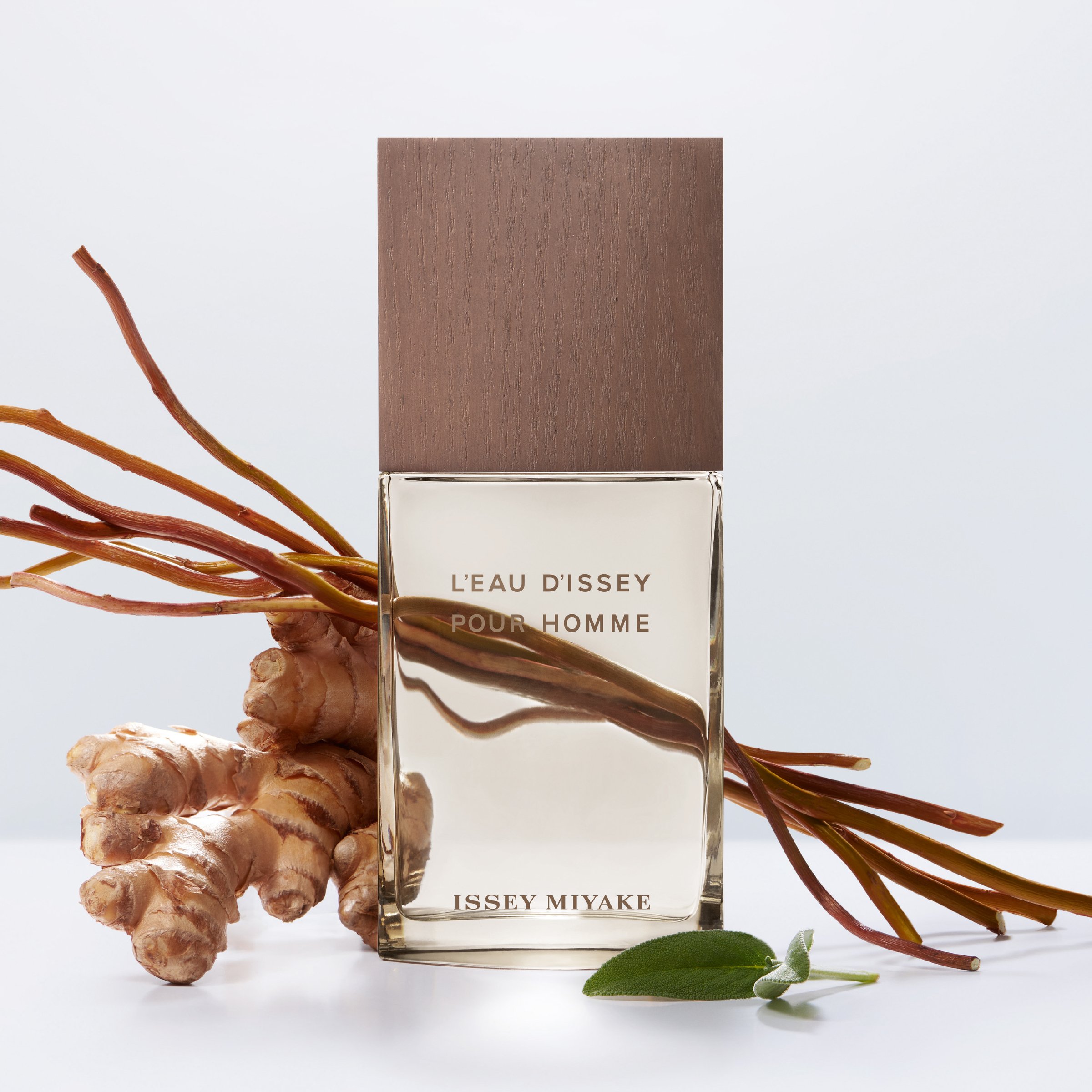 Issey Miyake L’Eau d’Issey Pour Homme Vétiver EDTI Spray 50ml - Image 3