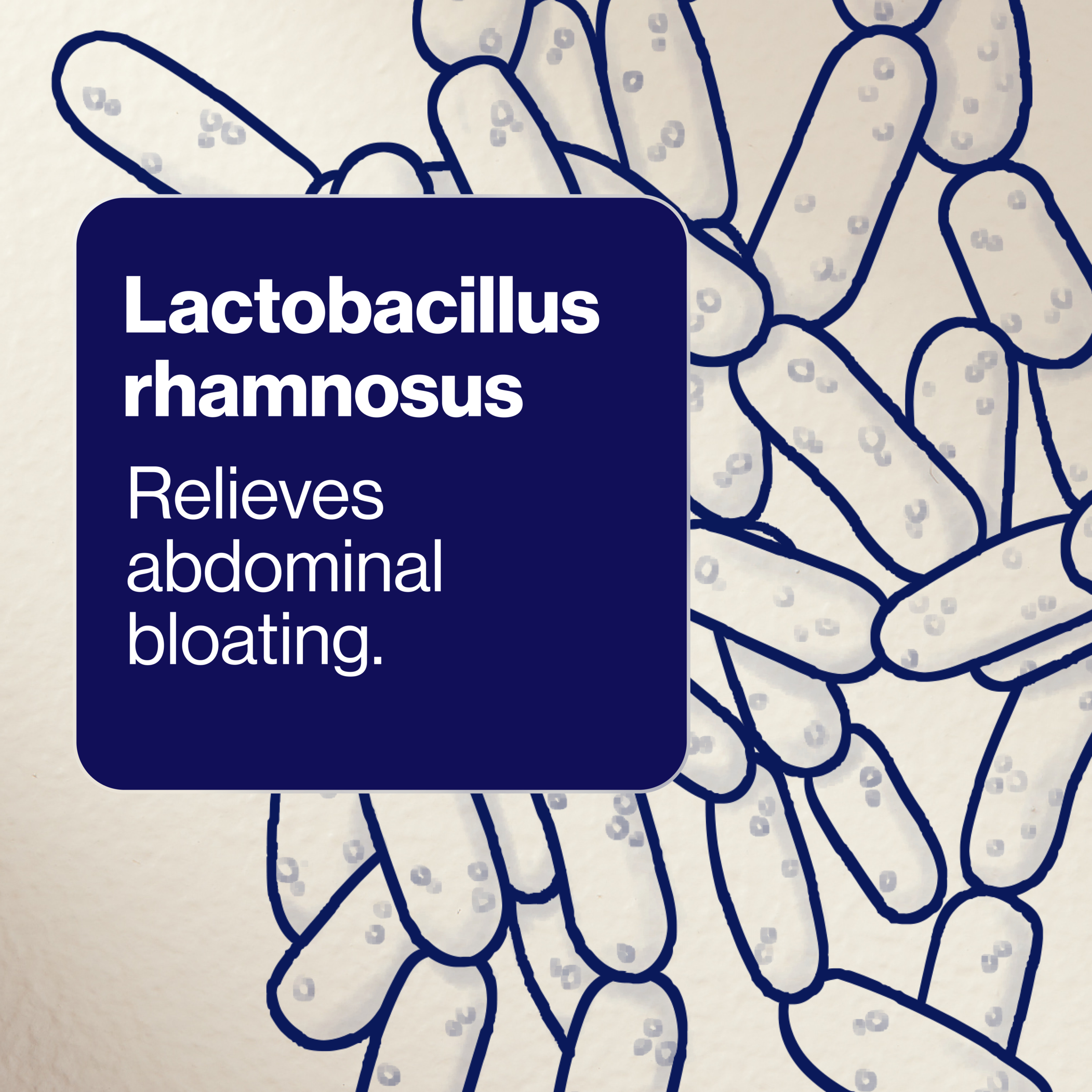 BioCeuticals UltraBiotic 45 - 60 capsules - Image 8