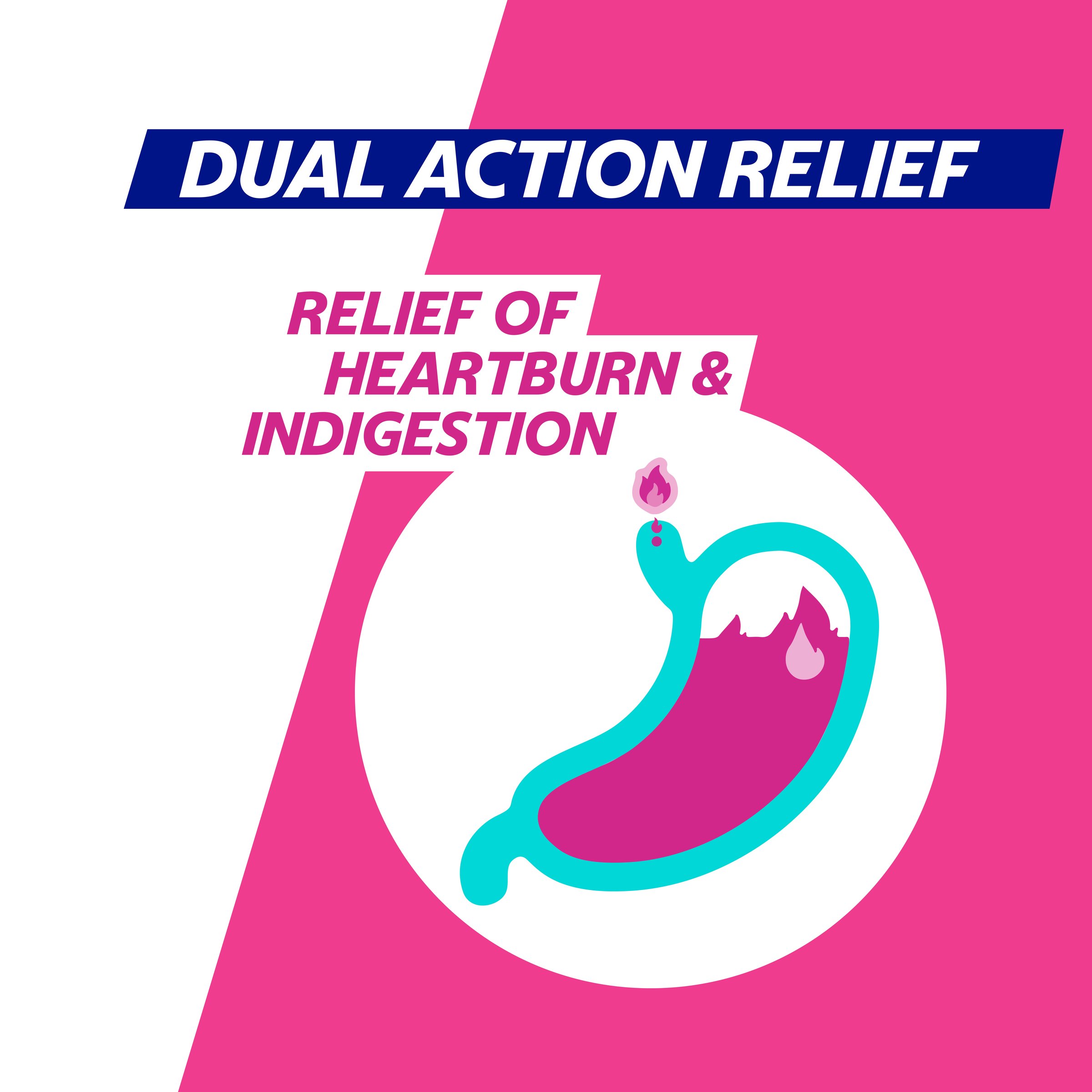 Gaviscon Dual Action Mixed Berry 48 chewable tablets - Image 4
