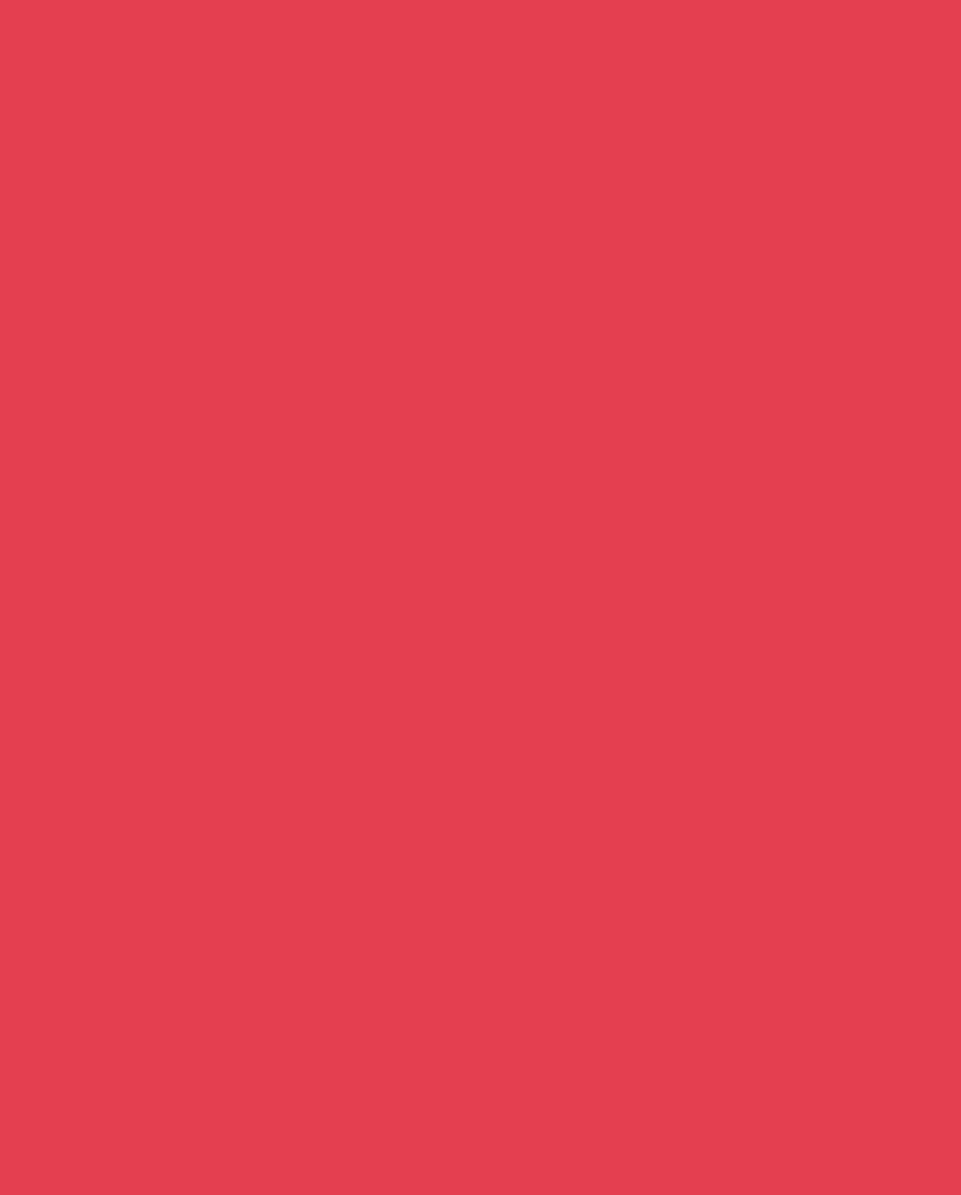 Natio Matte Lip Colour Tulip 4g - Image 2