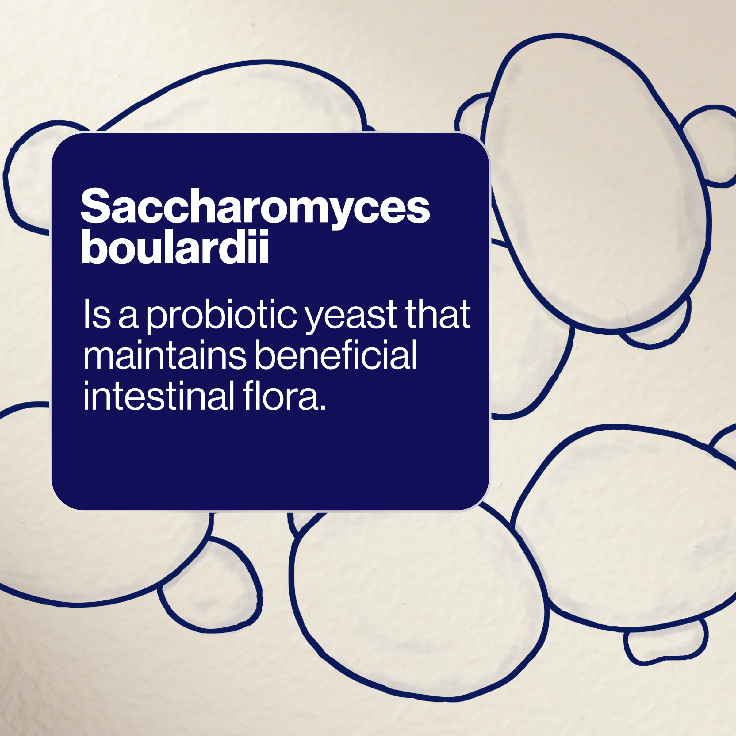 BioCeuticals SB Floractiv 60 capsules - Image 8