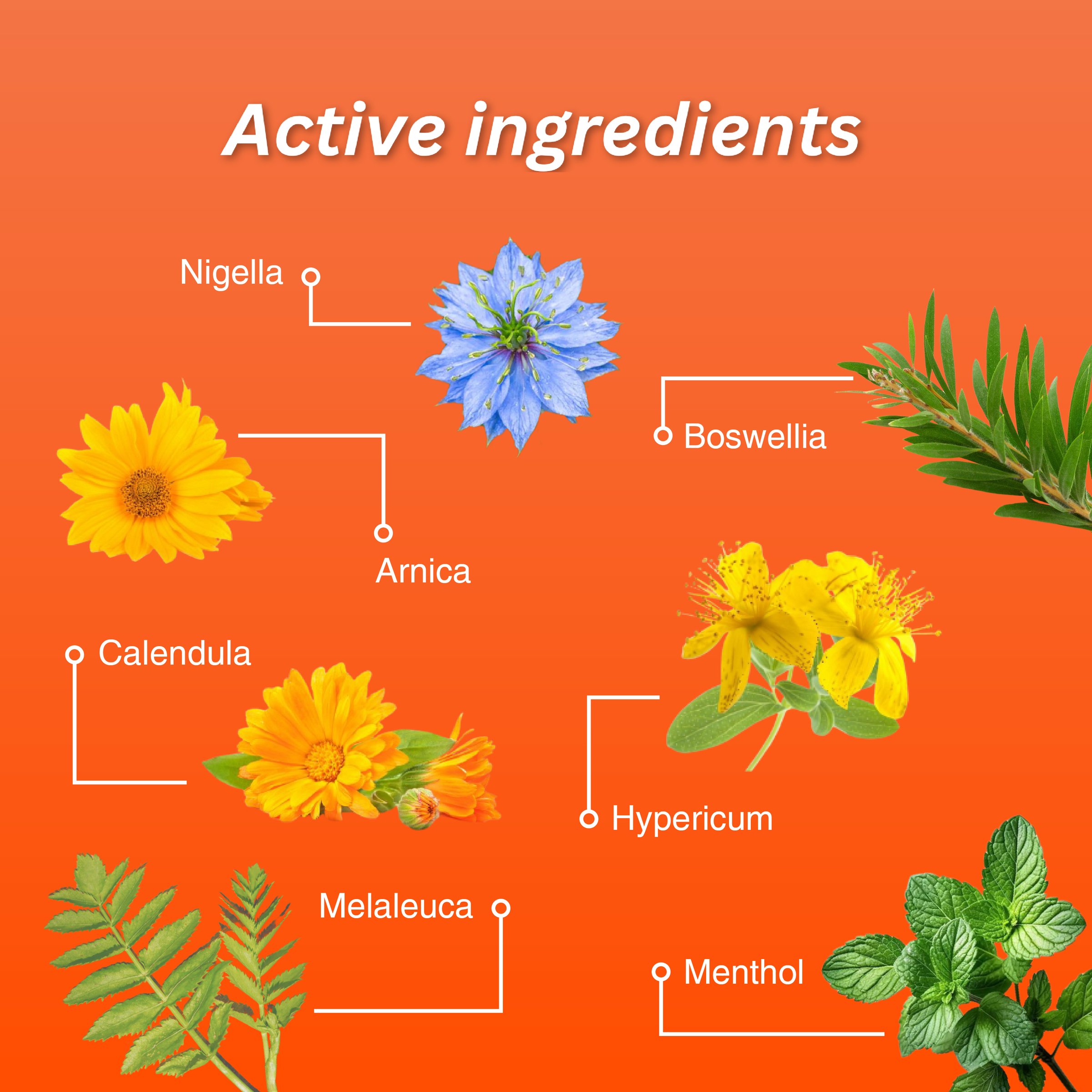 Fisiocrem Joint Ease 100g - Image 3